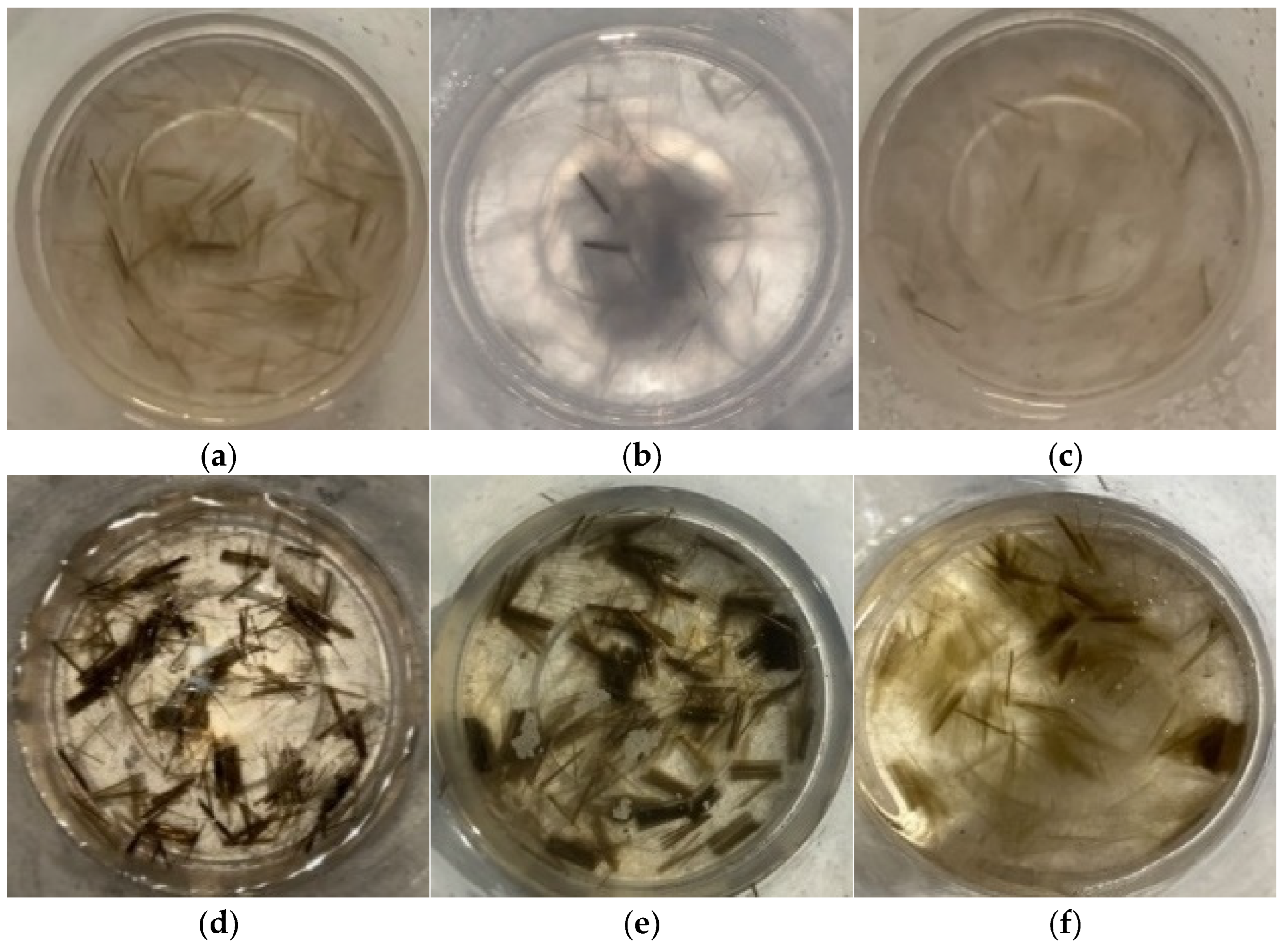 Materials 18 04442 g005