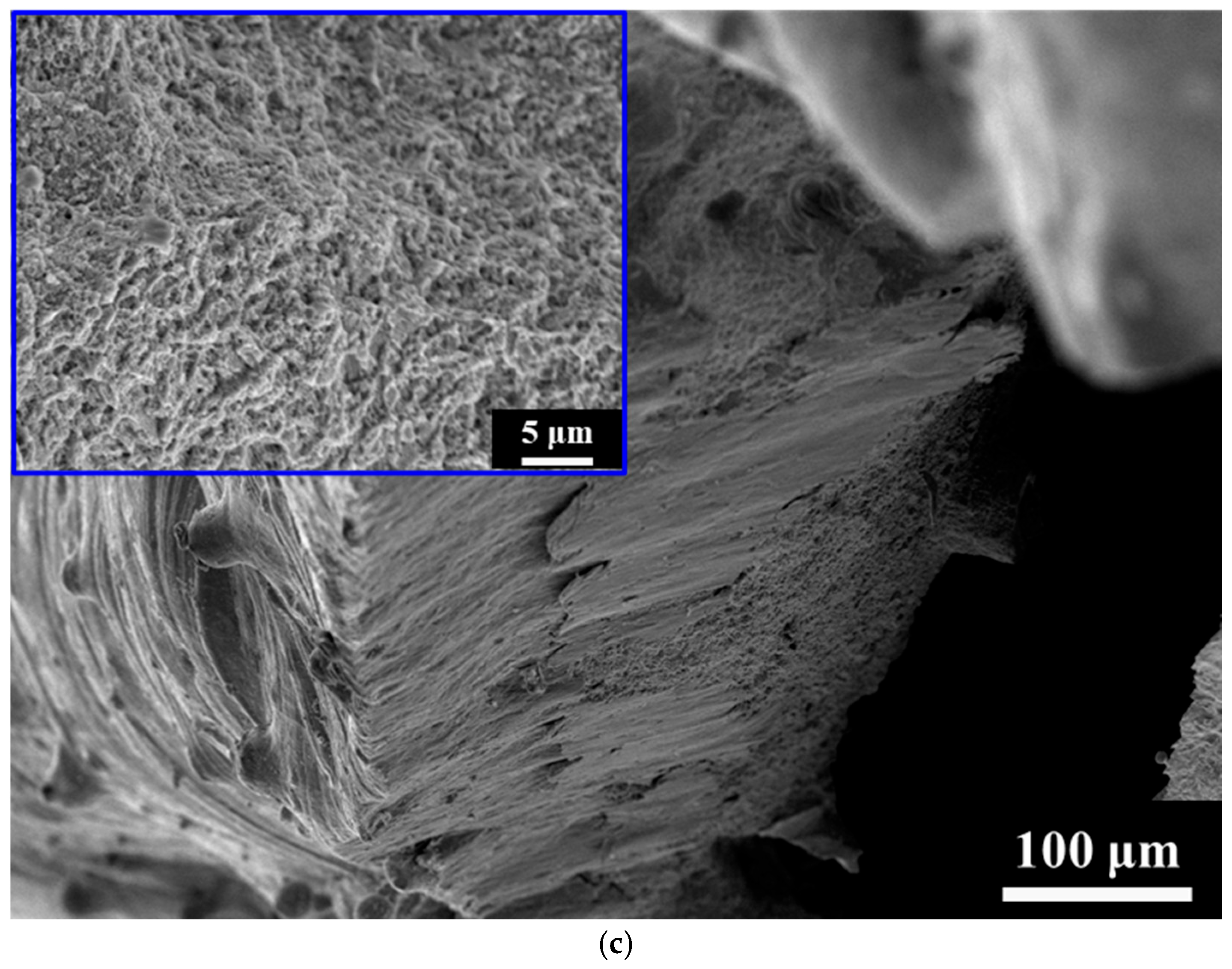 Materials 18 04443 g009b