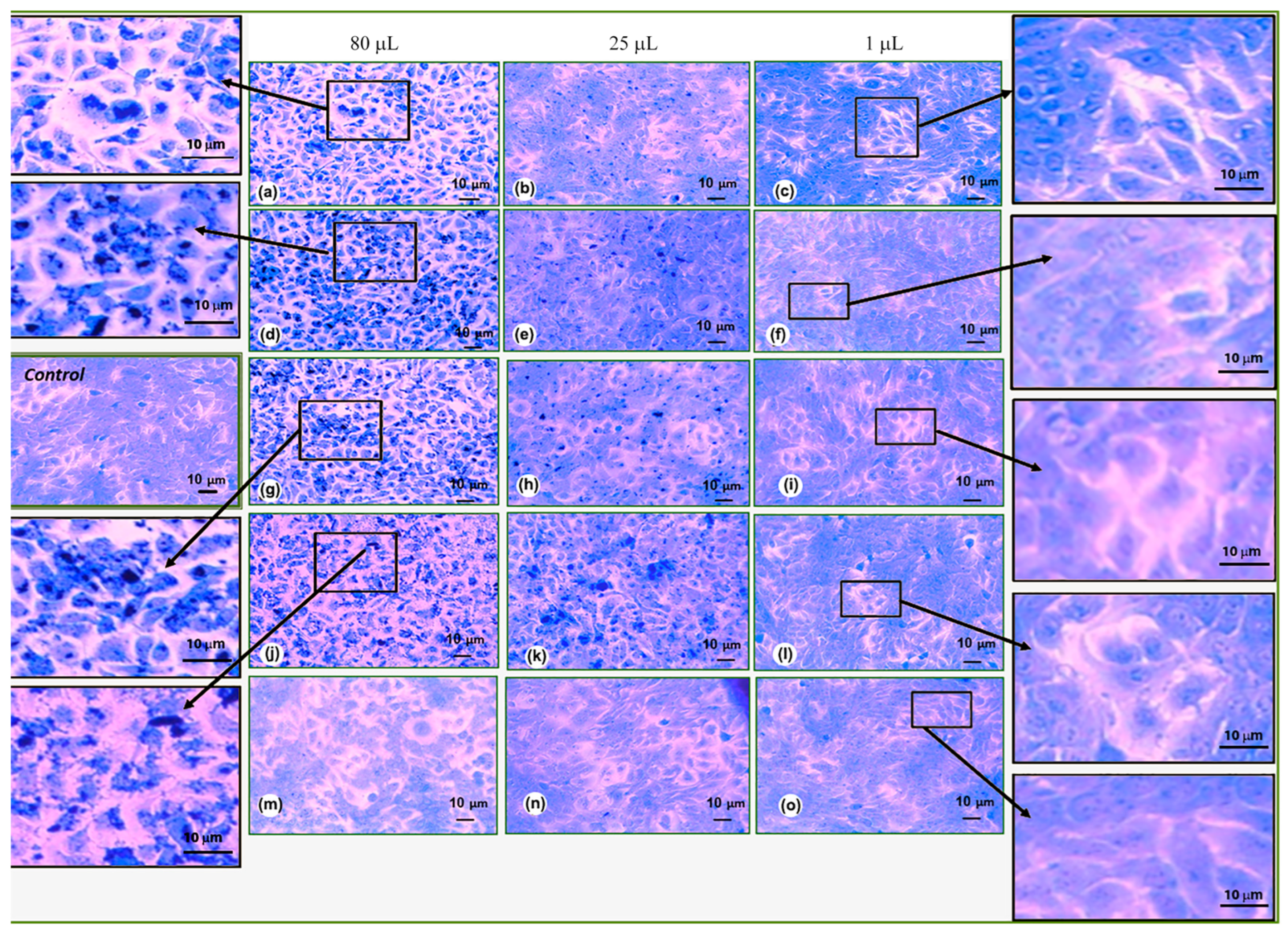 Materials 18 04464 g008 Materials 18 04464 g008