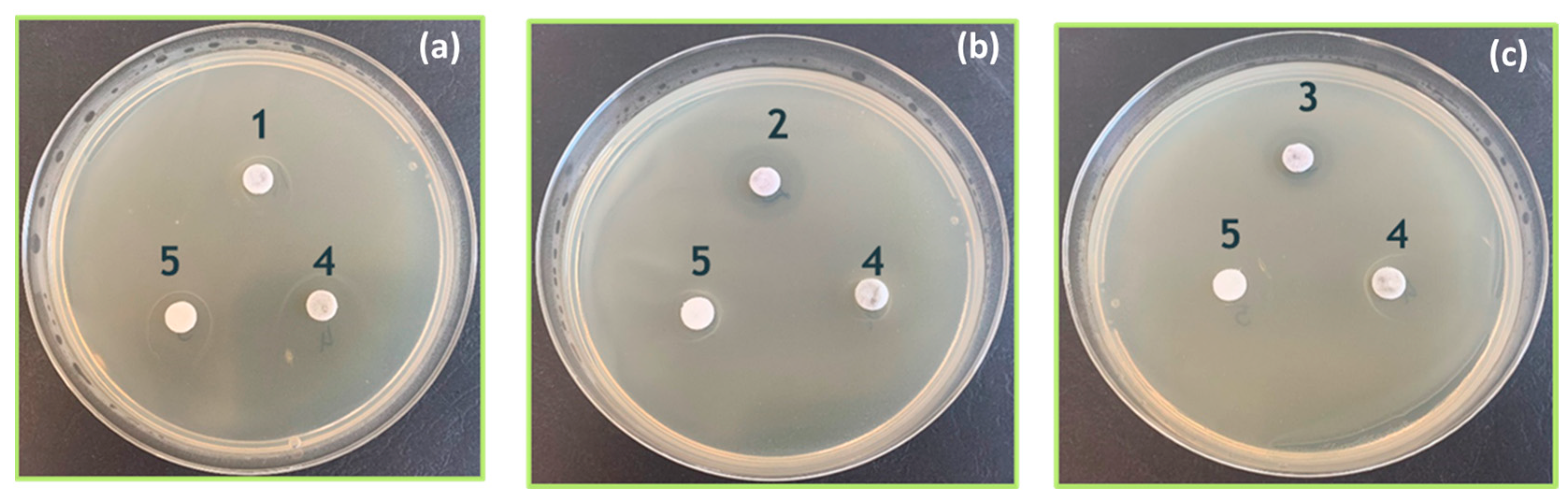 Materials 18 04464 g009 Materials 18 04464 g009