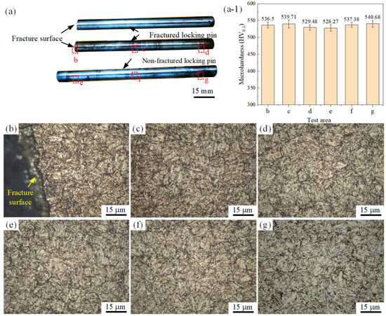 Inspection and Modeling Analysis of Locking Pins in the
