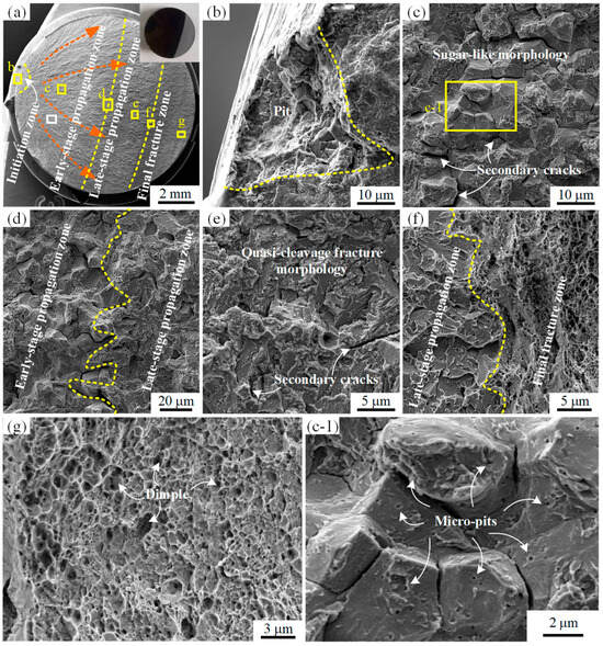 Inspection and Modeling Analysis of Locking Pins in the