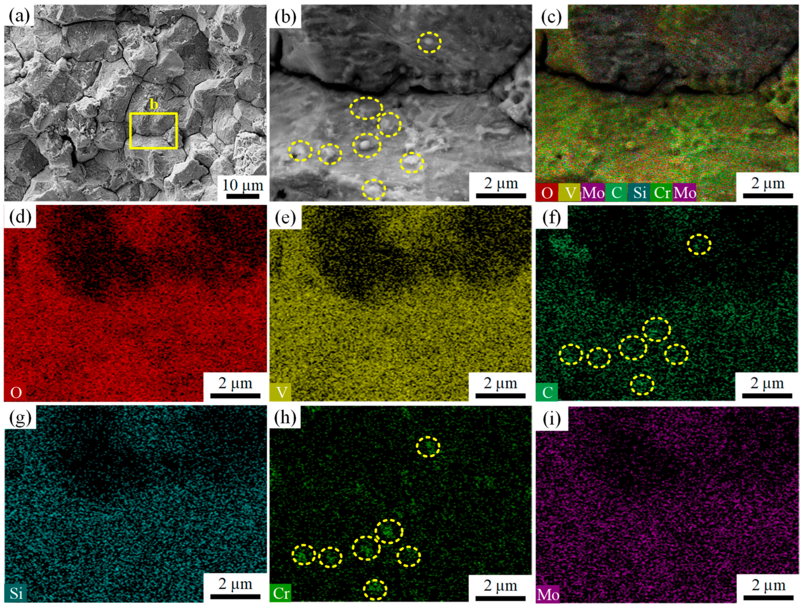 Materials 18 04487 g007 Materials 18 04487 g007
