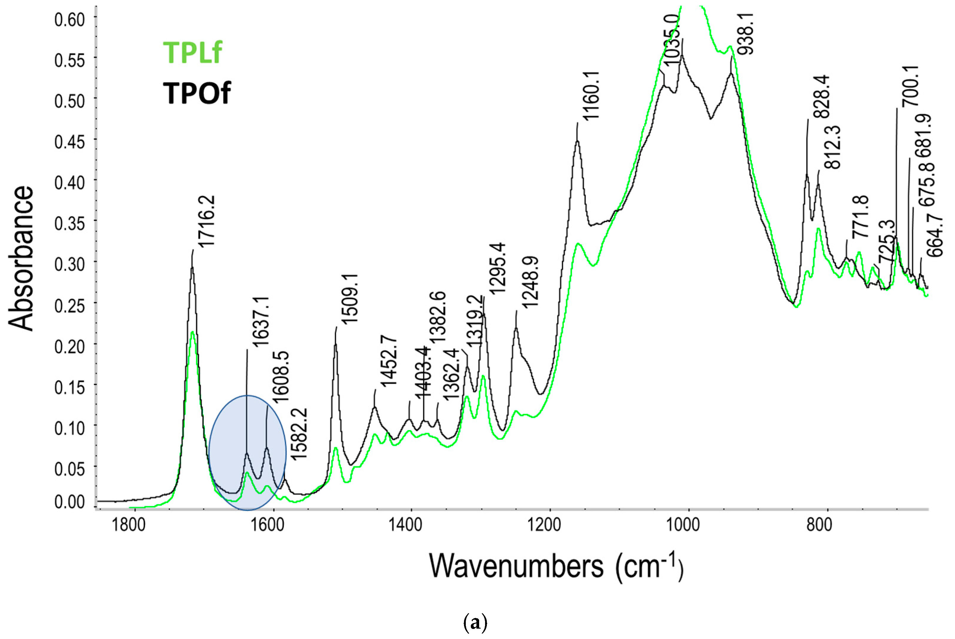 Materials 18 04489 g002a Materials 18 04489 g002a