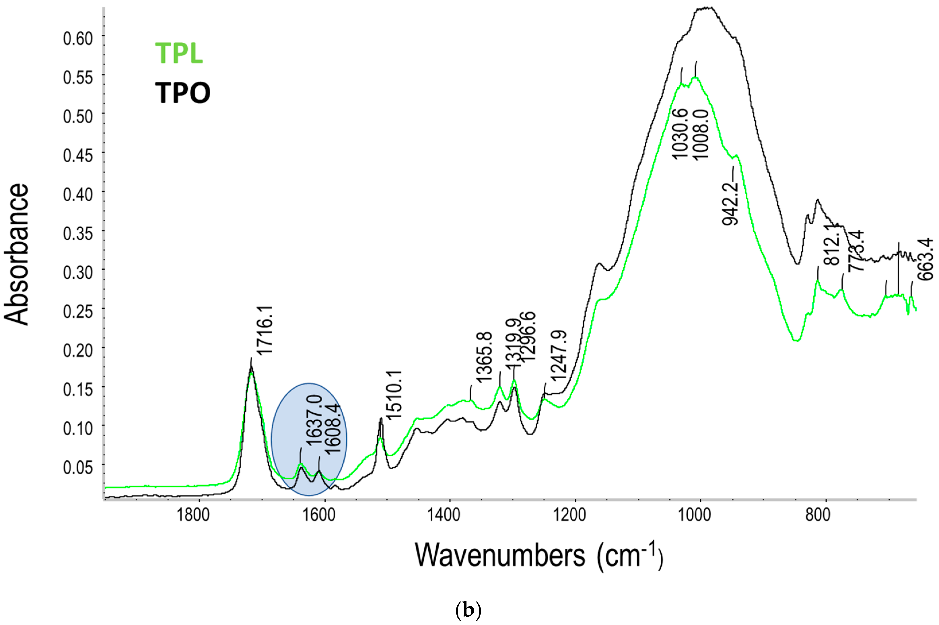 Materials 18 04489 g002b Materials 18 04489 g002b
