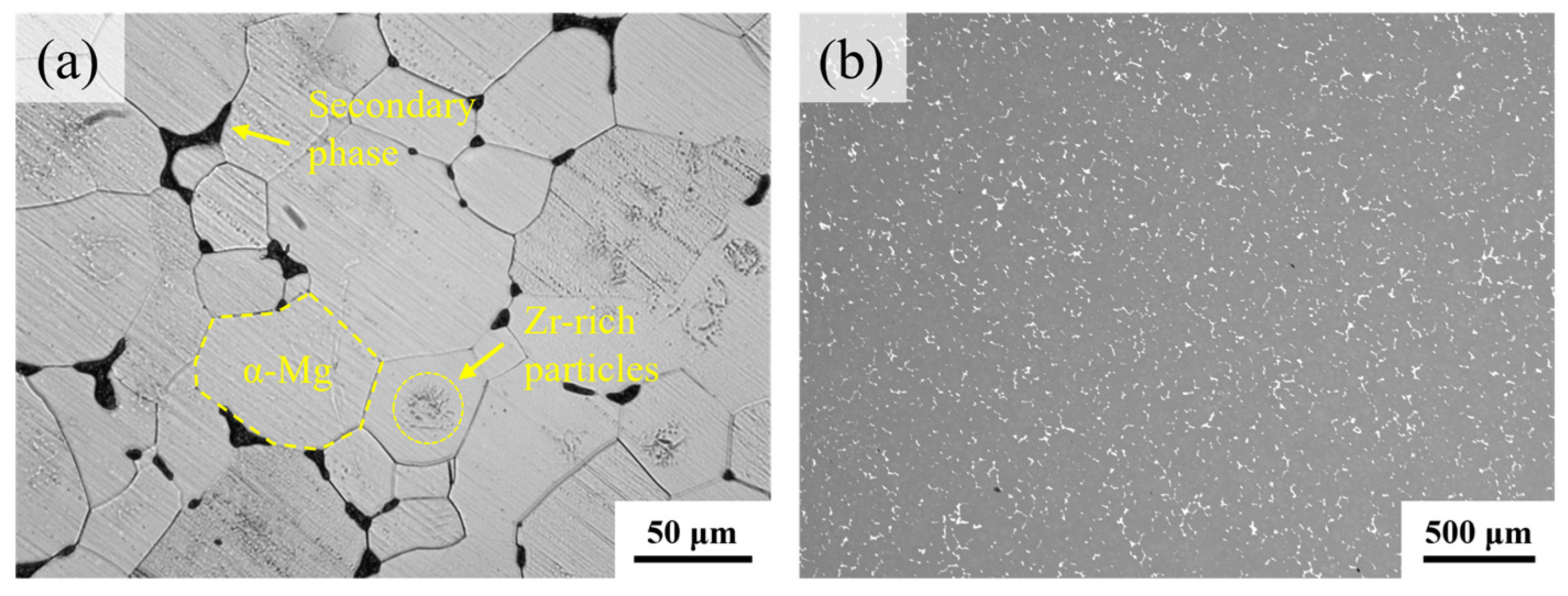 Materials 18 04490 g004