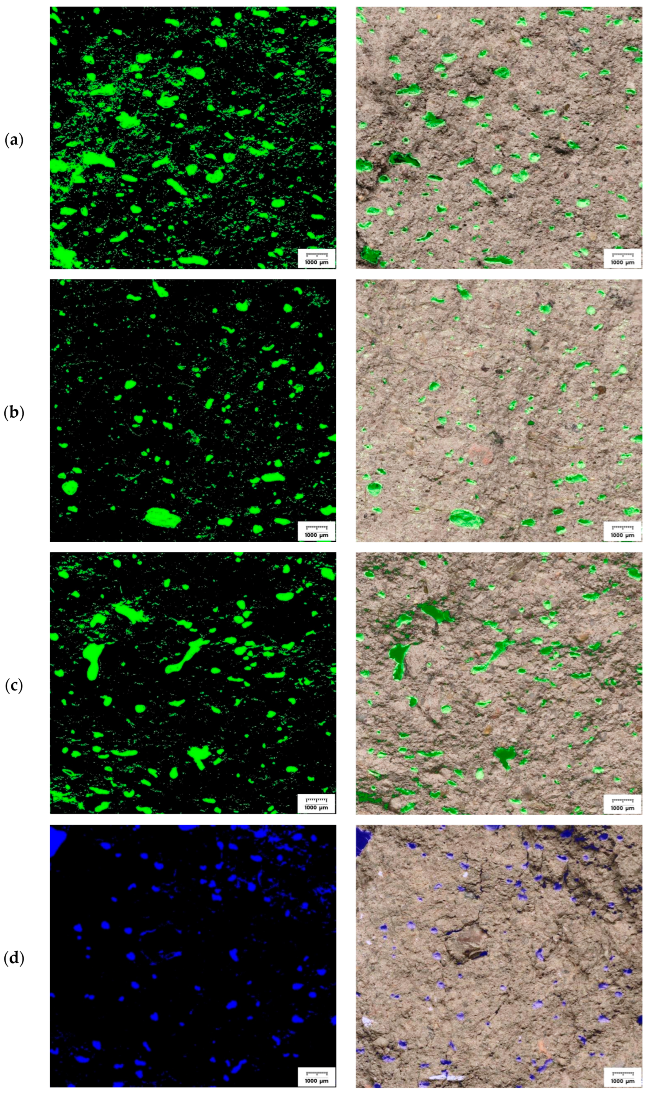 Materials 18 04498 g016a Materials 18 04498 g016a