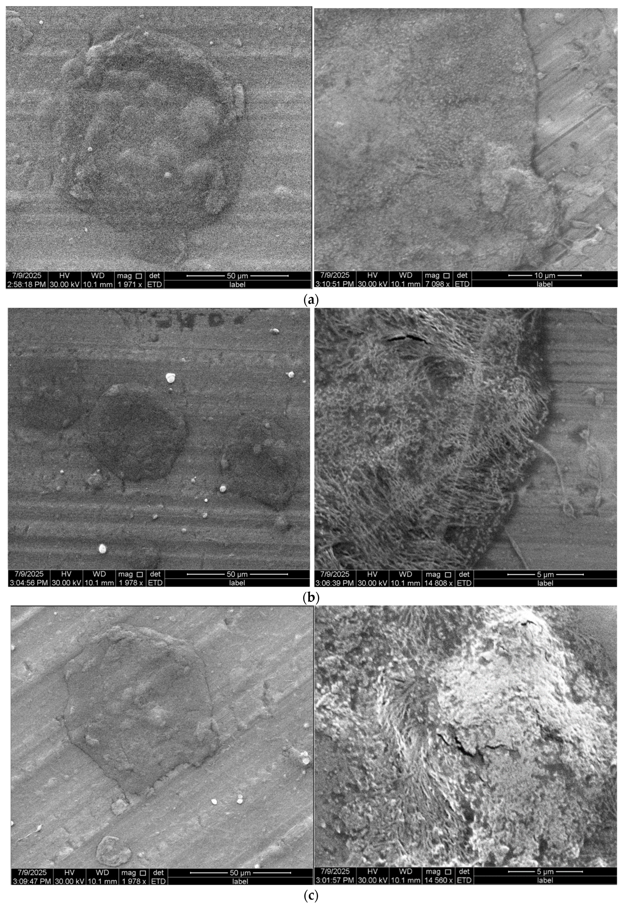 Materials 18 04502 g004