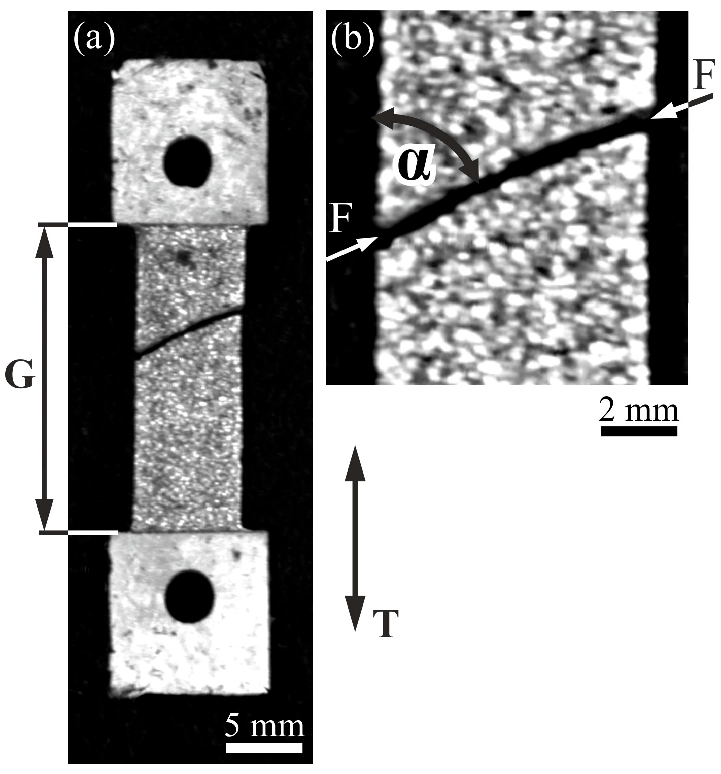 Materials 18 04506 g007