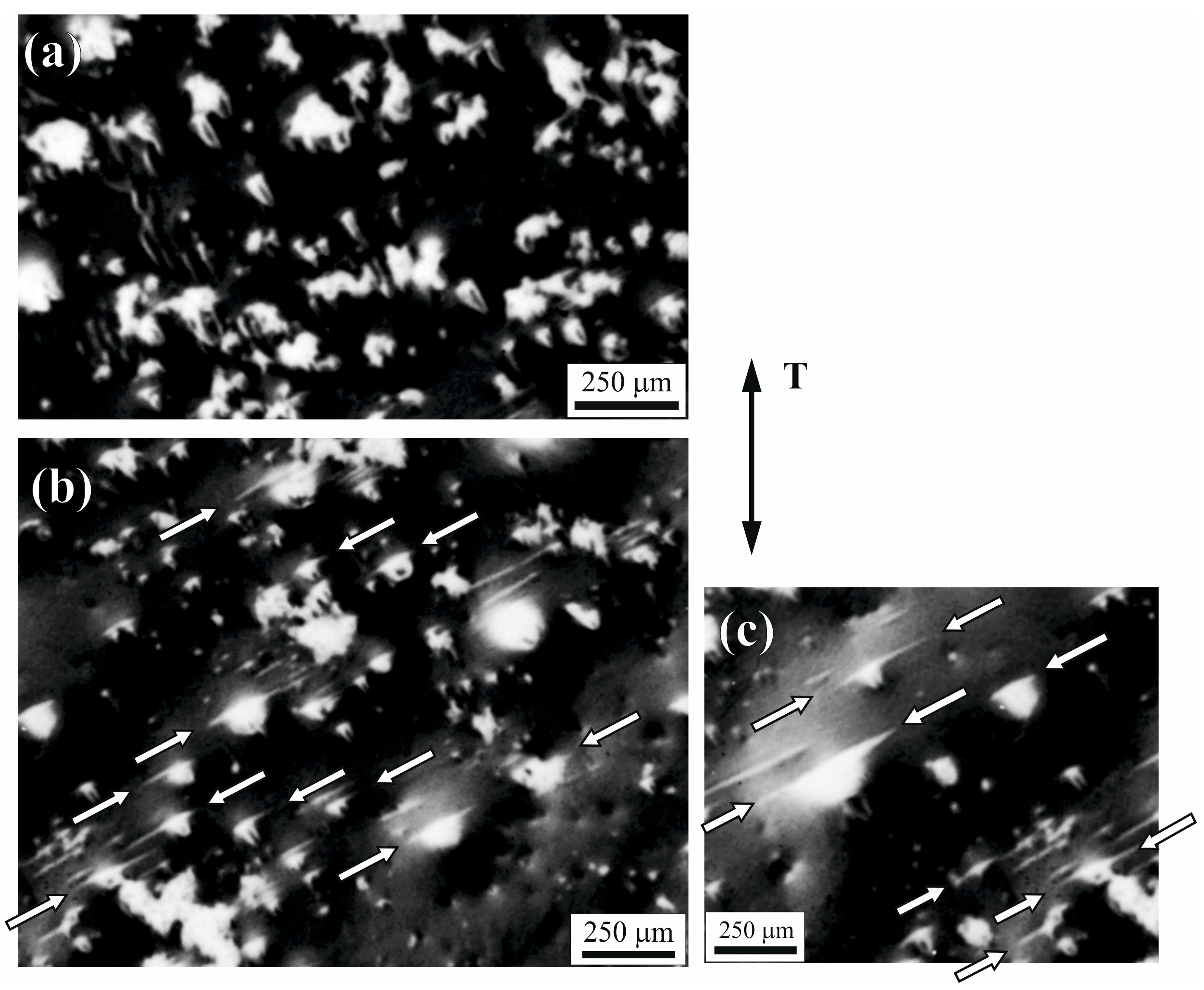 Materials 18 04506 g009