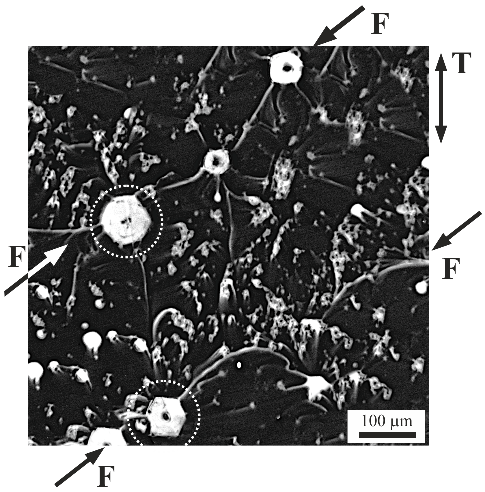 Materials 18 04506 g010