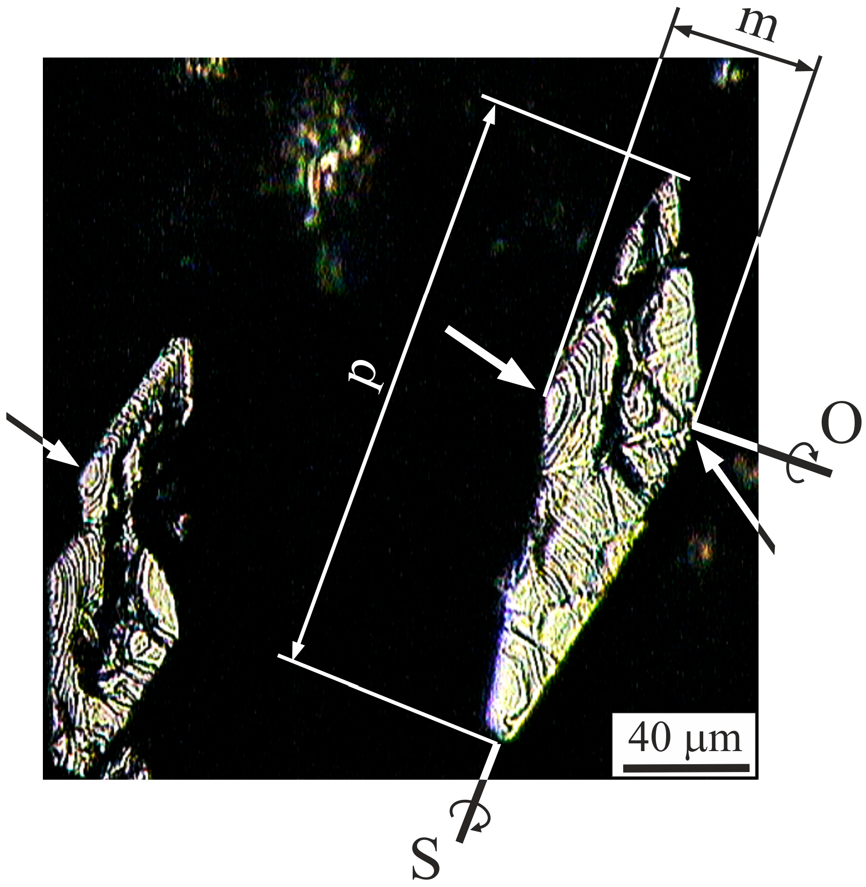 Materials 18 04506 g012