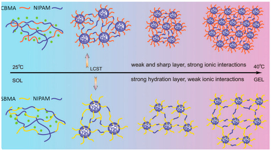 Zwitterionic Poly(Carboxybetaine Methacrylate)s in Drug Delivery ...