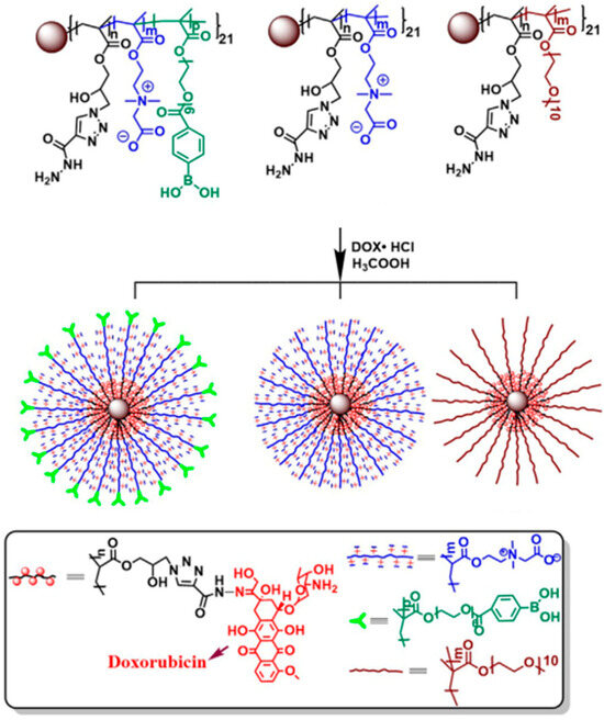 Zwitterionic Poly(Carboxybetaine Methacrylate)s in Drug Delivery ...
