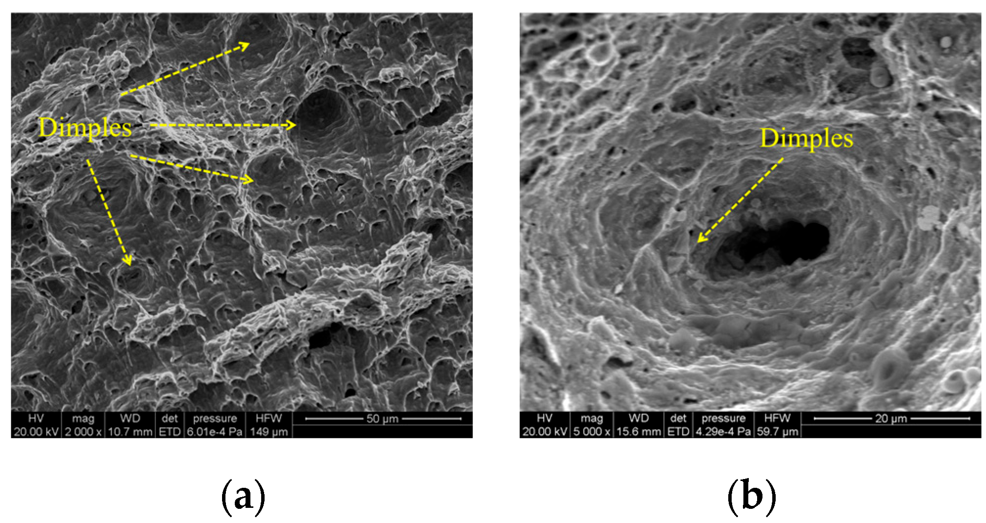 Materials 18 04515 g012
