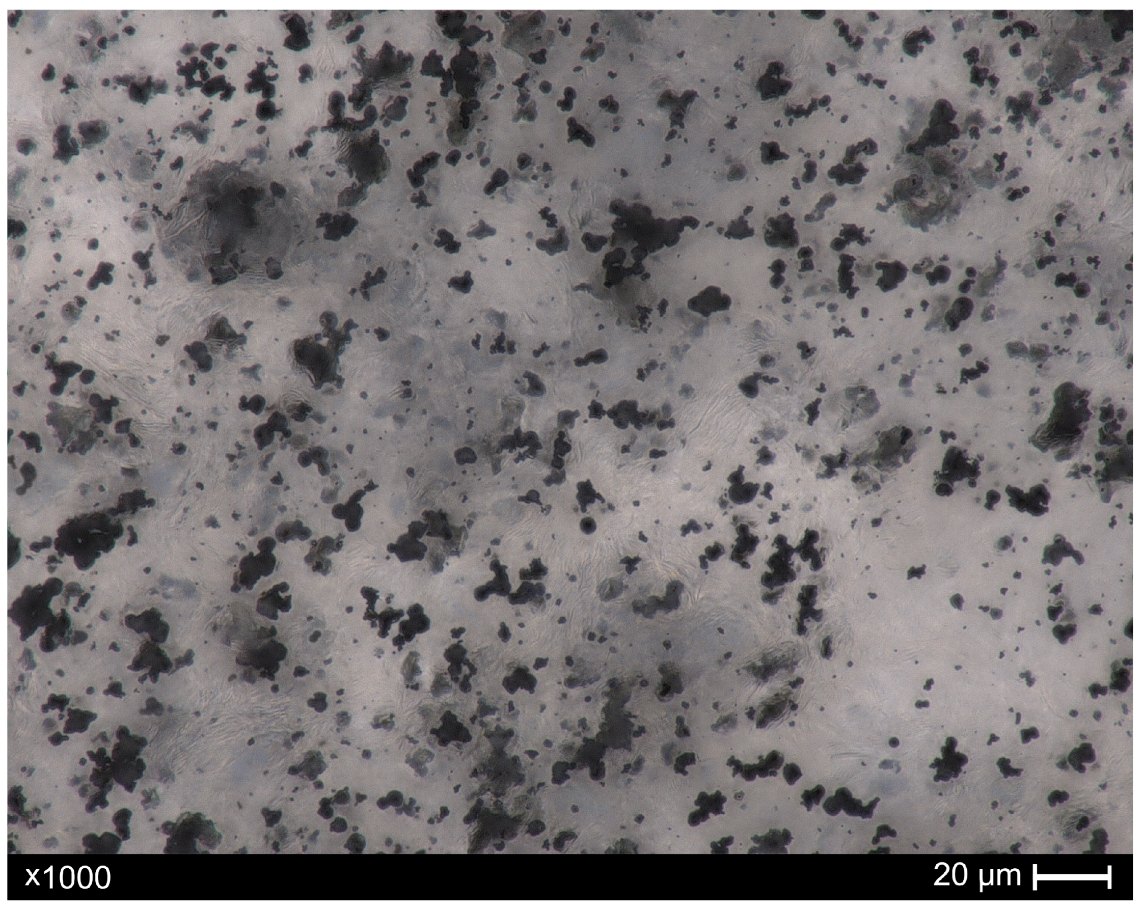 Materials 18 04519 g001