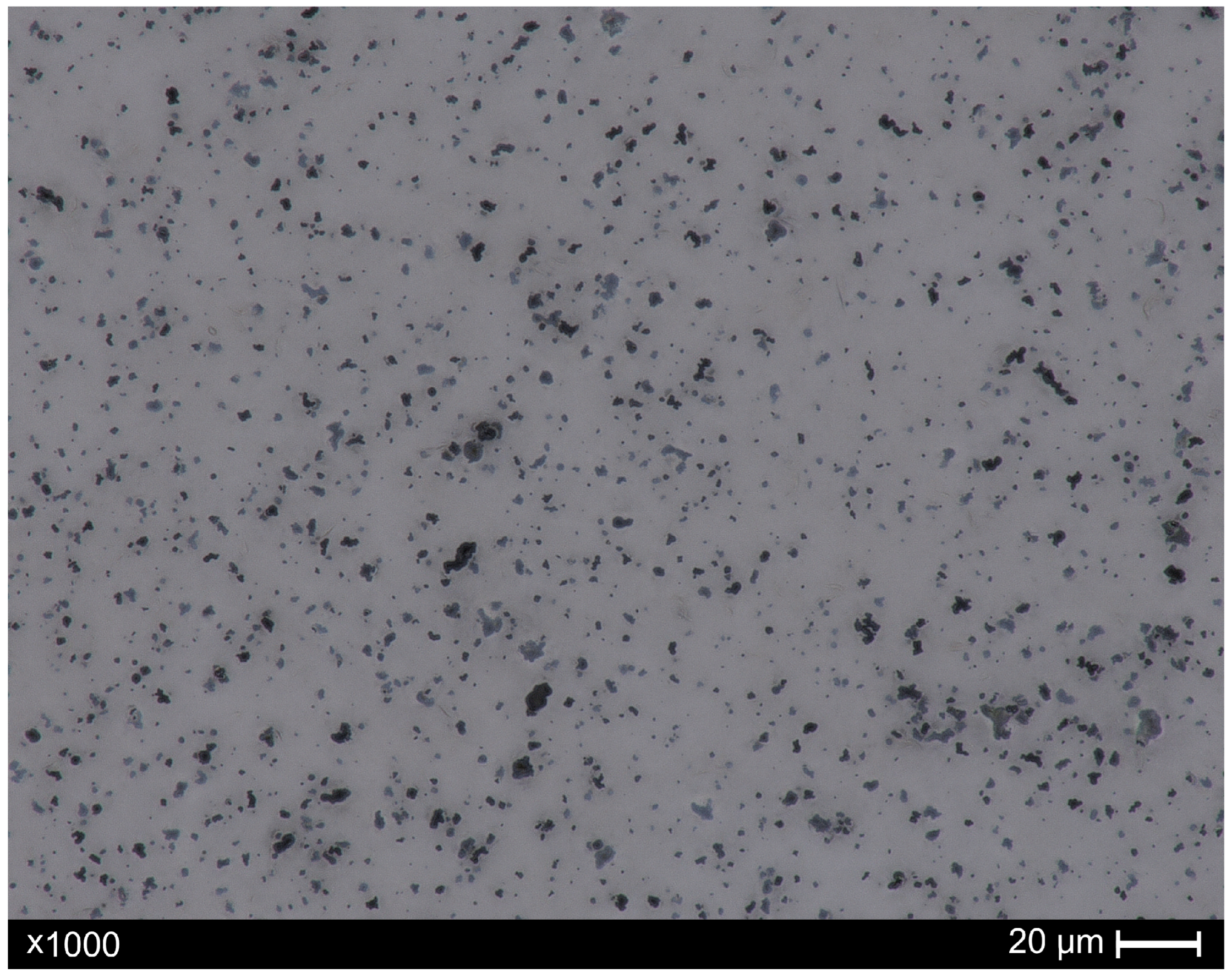 Materials 18 04519 g002