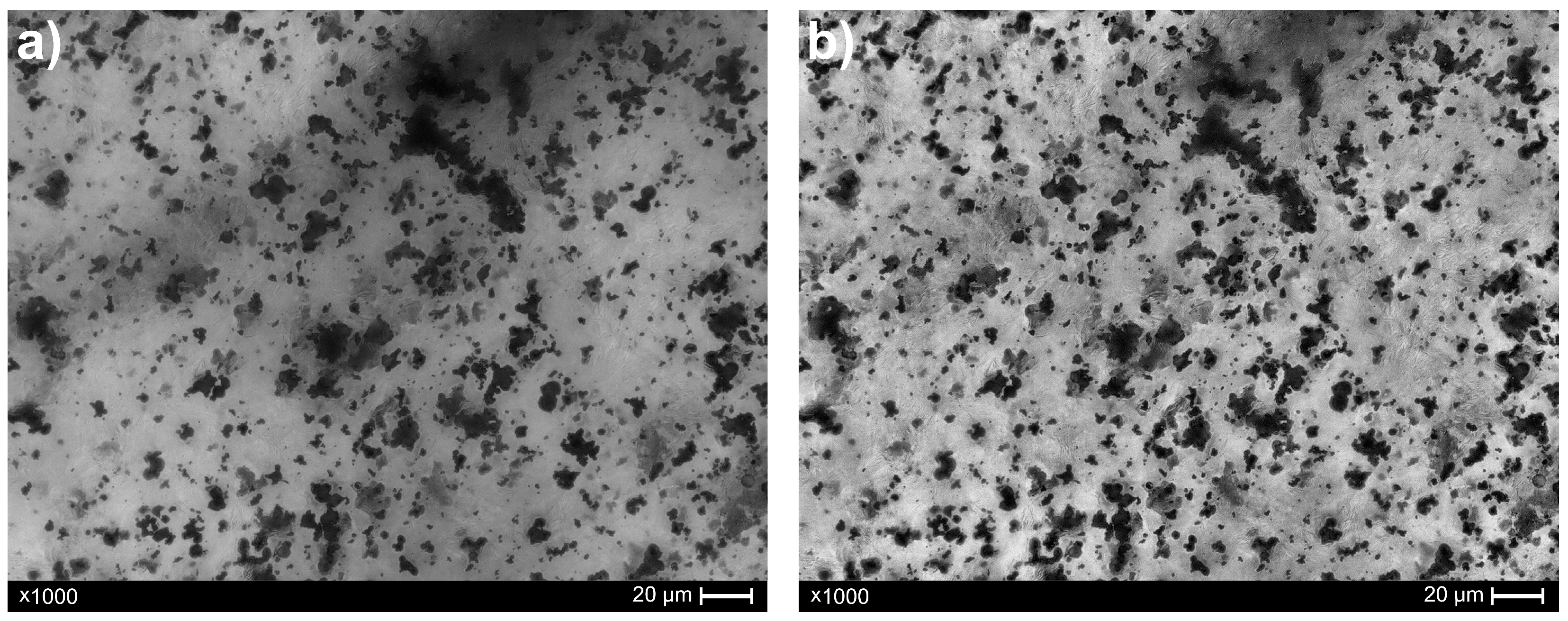 Materials 18 04519 g004