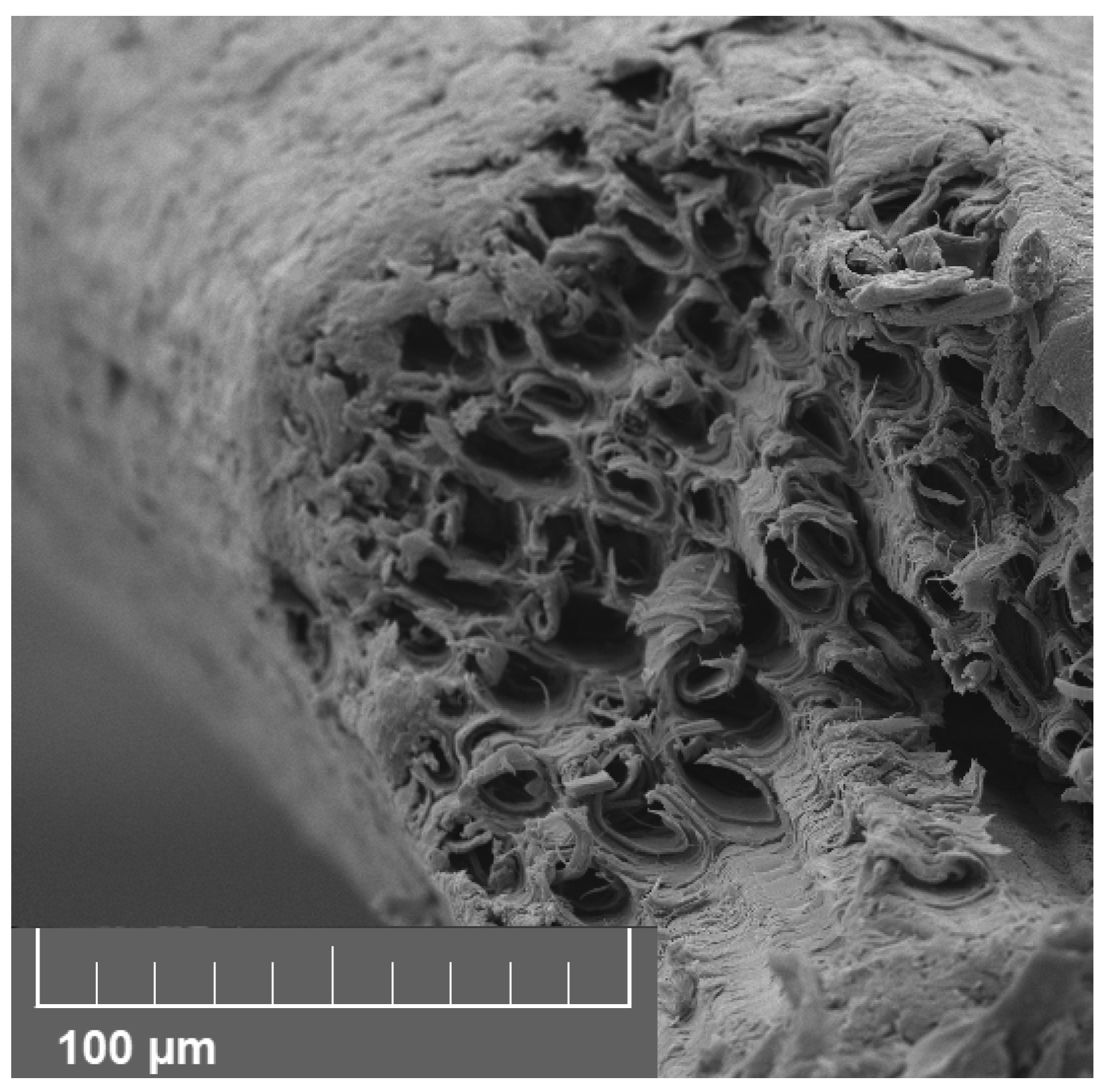 Materials 18 04521 g003