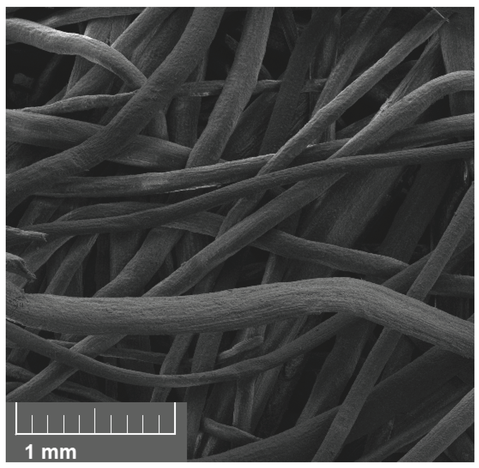 Materials 18 04521 g005