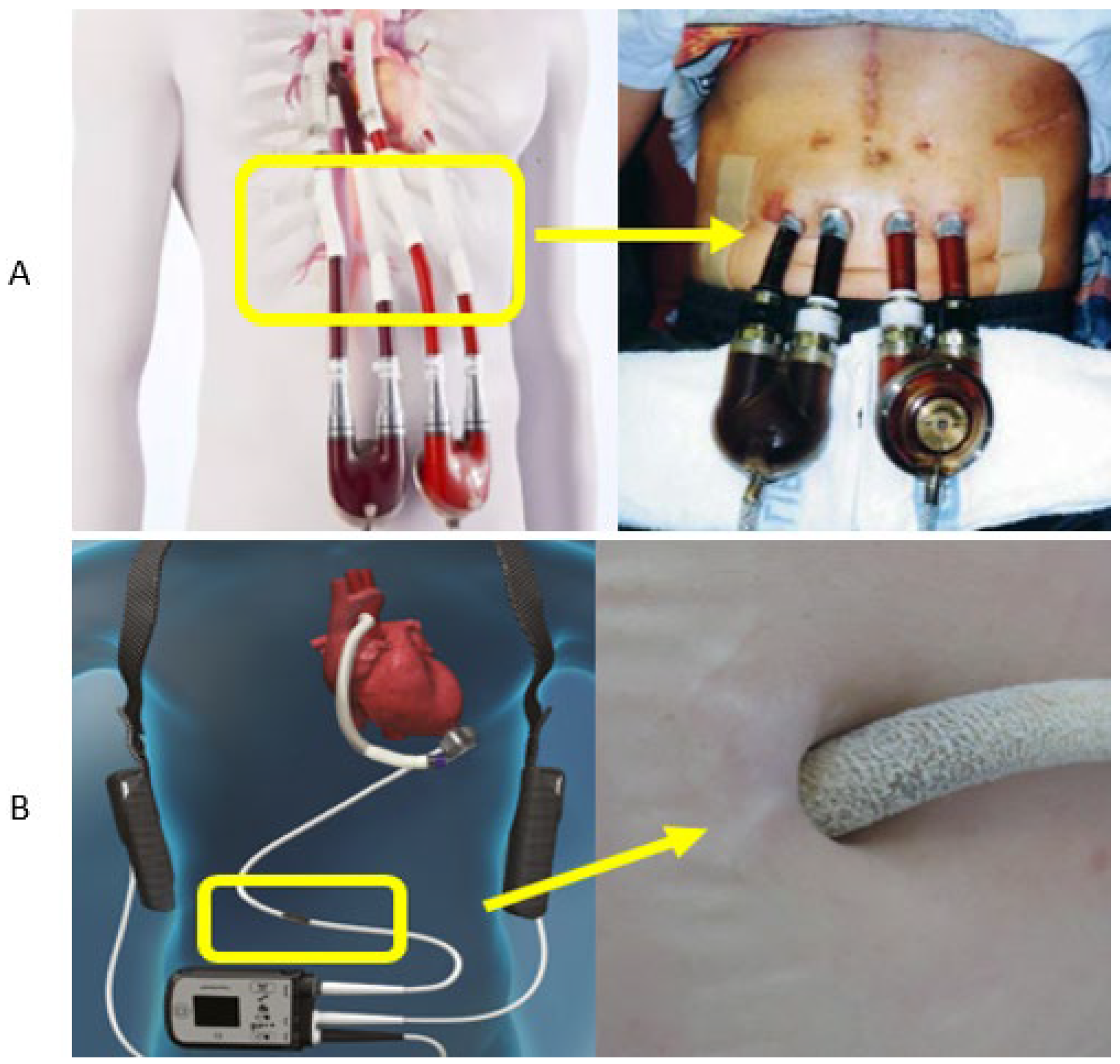 Materials 18 04541 g002 Materials 18 04541 g002