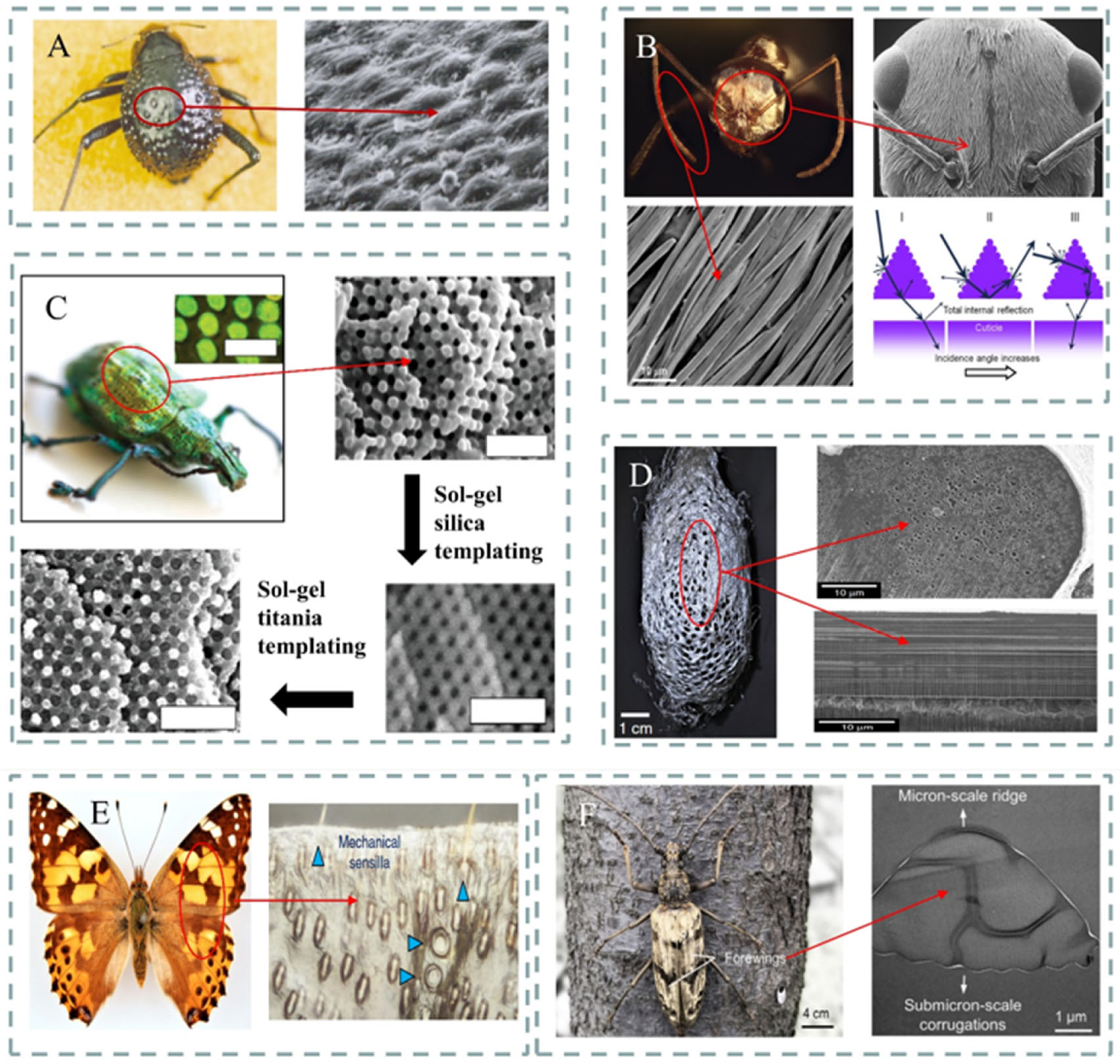 Materials 18 04556 g002