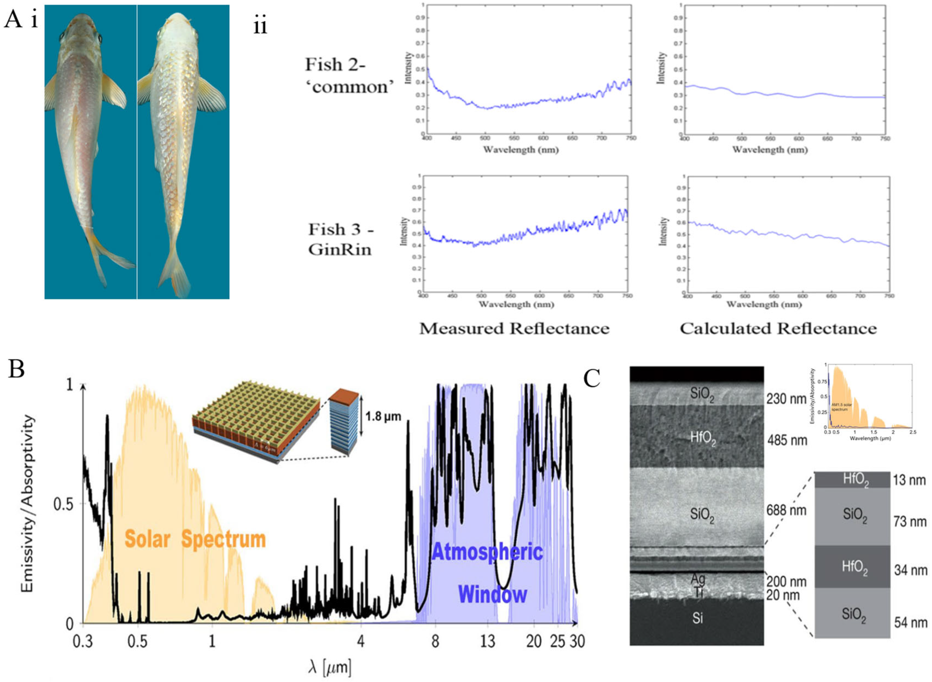 Materials 18 04556 g006