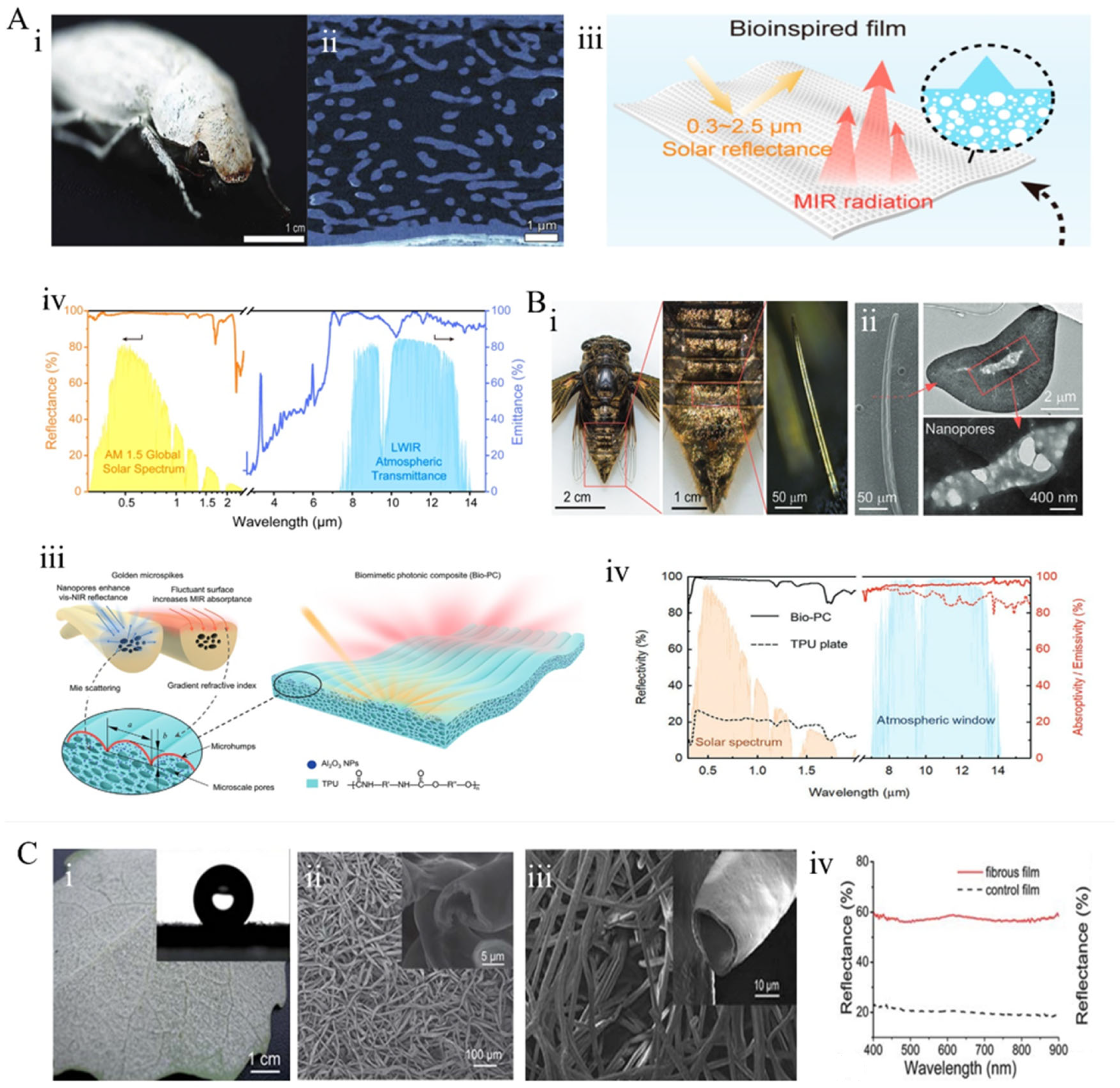 Materials 18 04556 g007