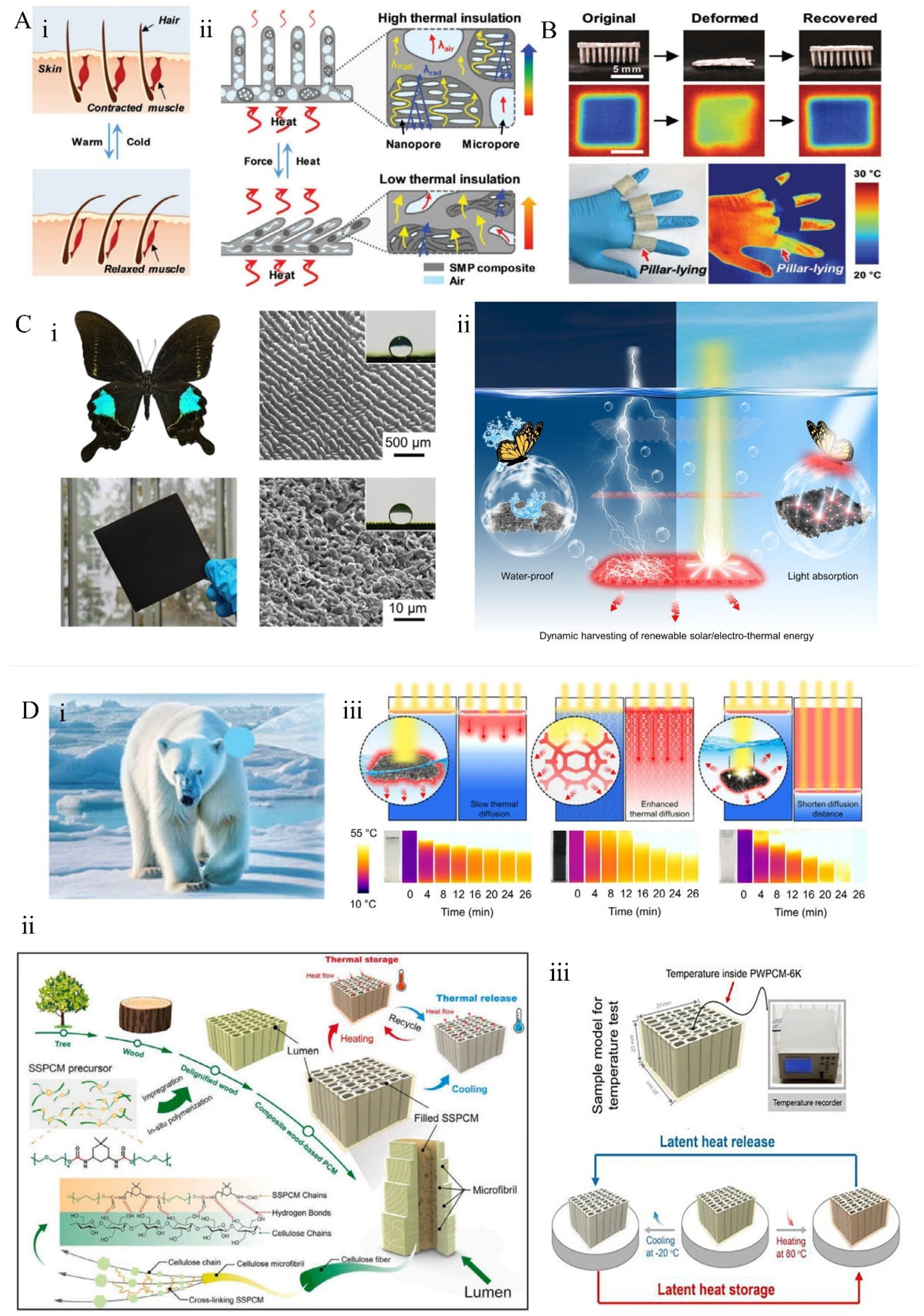 Materials 18 04556 g009