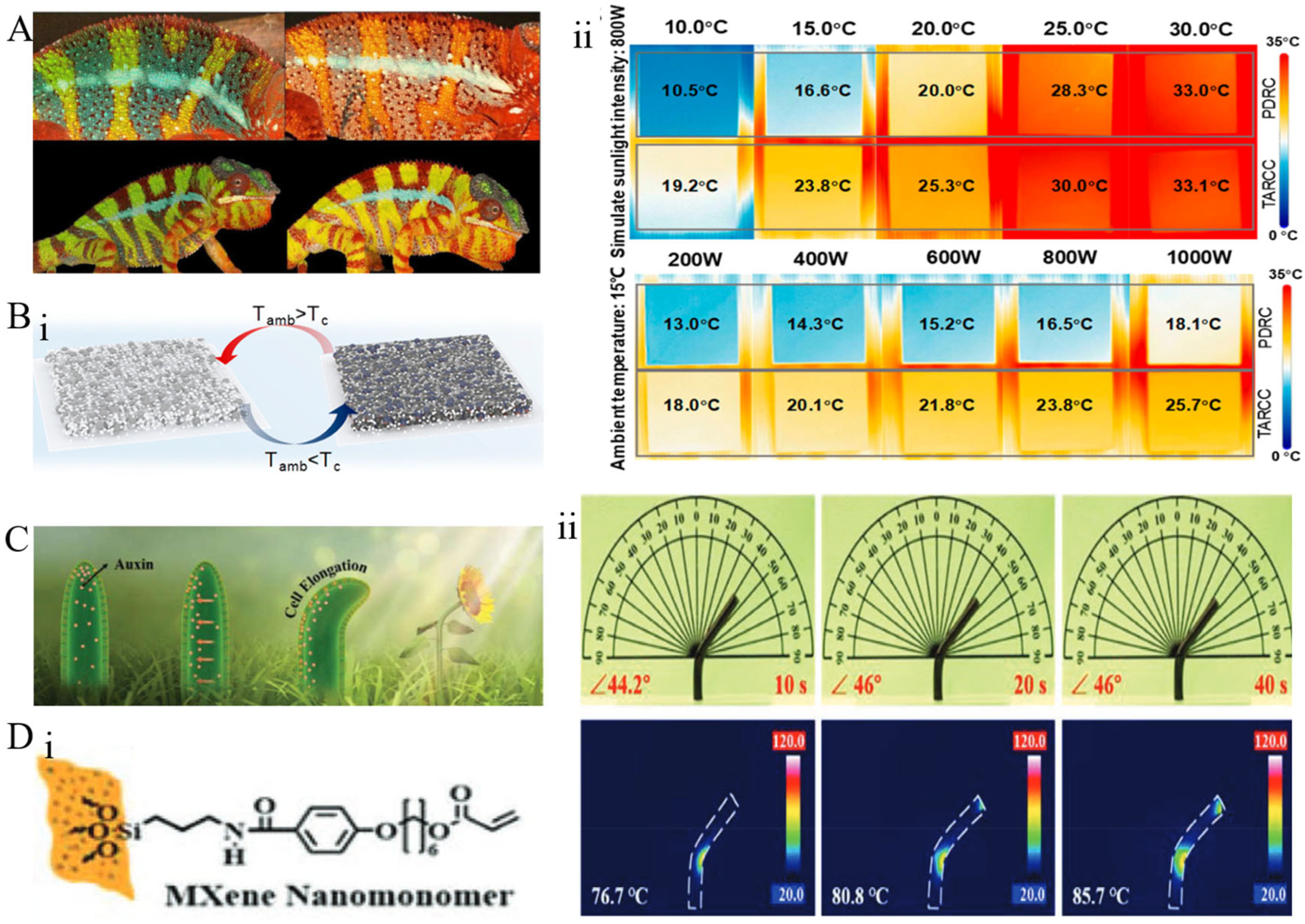 Materials 18 04556 g010