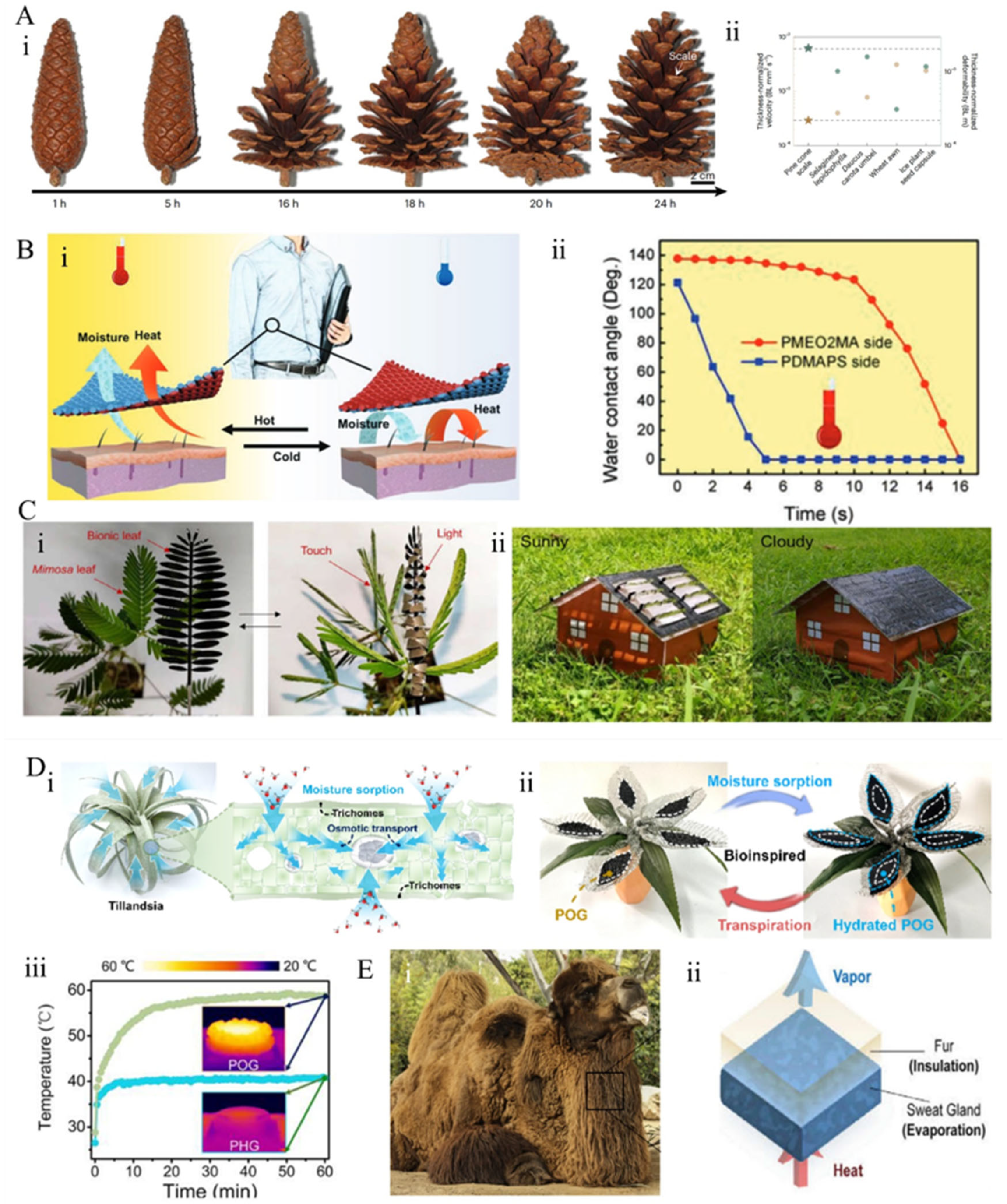 Materials 18 04556 g011