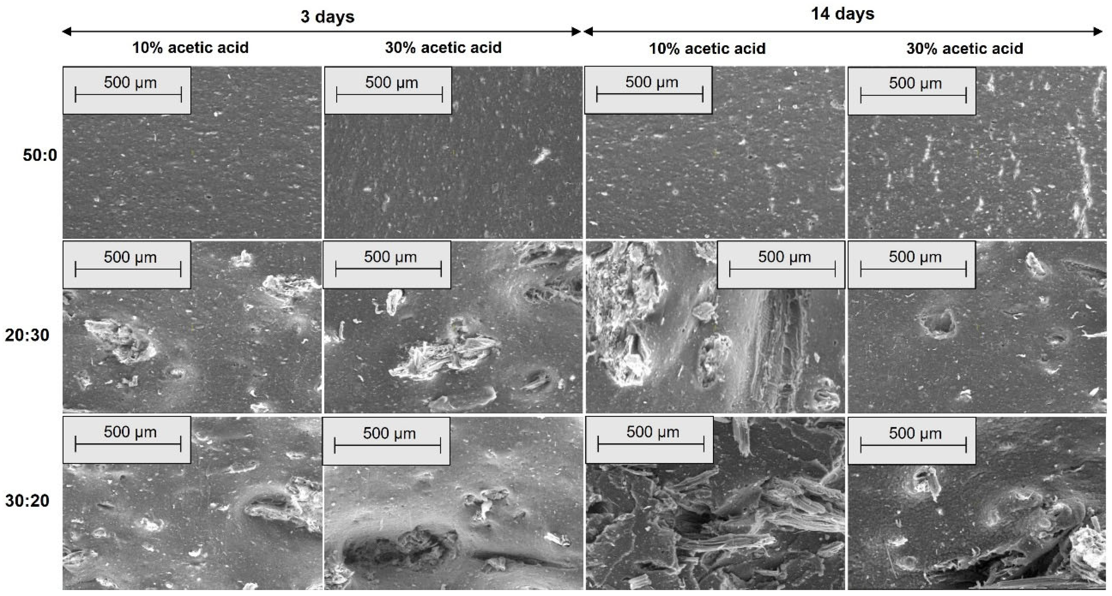 Materials 18 04557 g010
