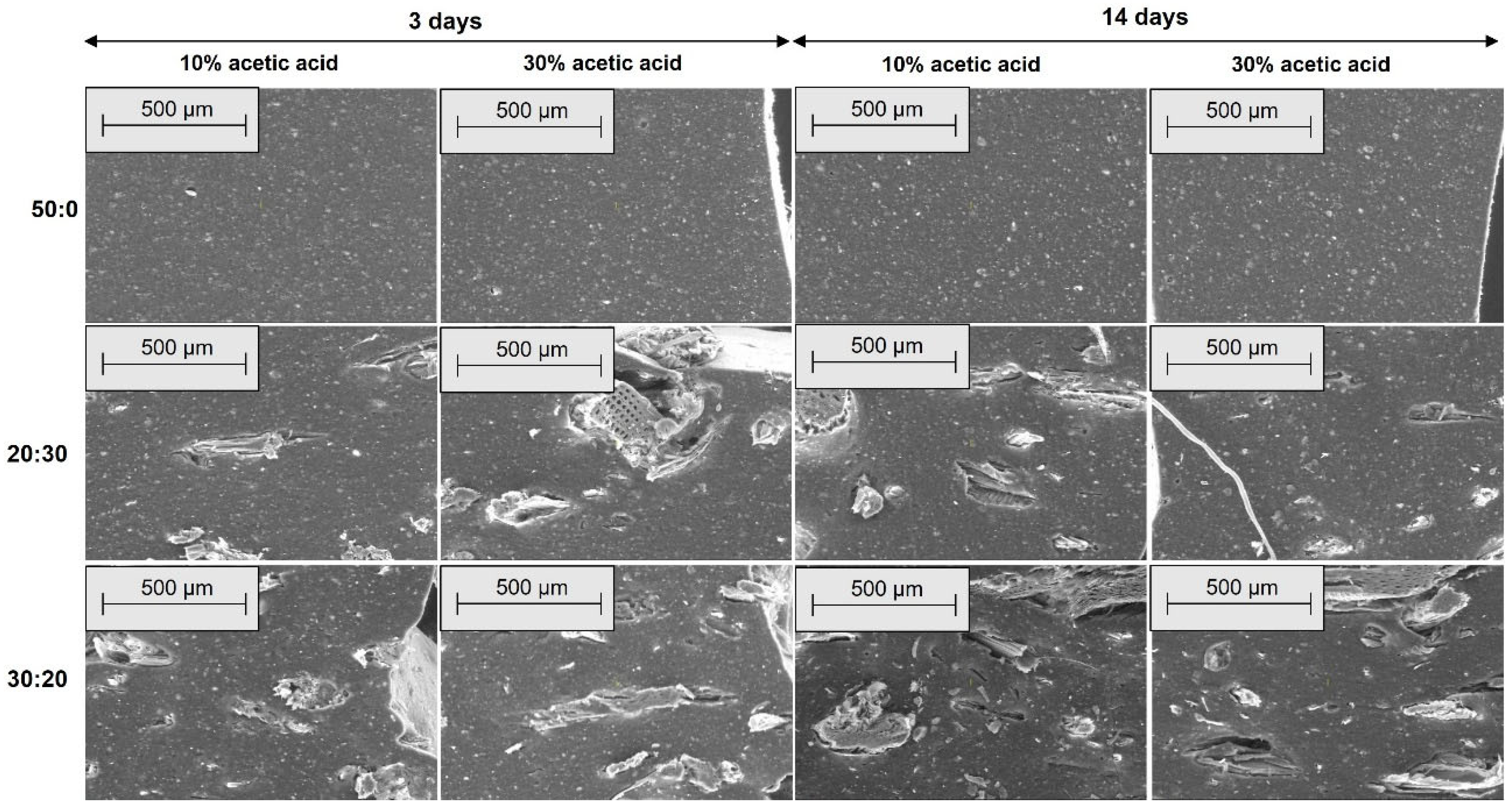 Materials 18 04557 g012