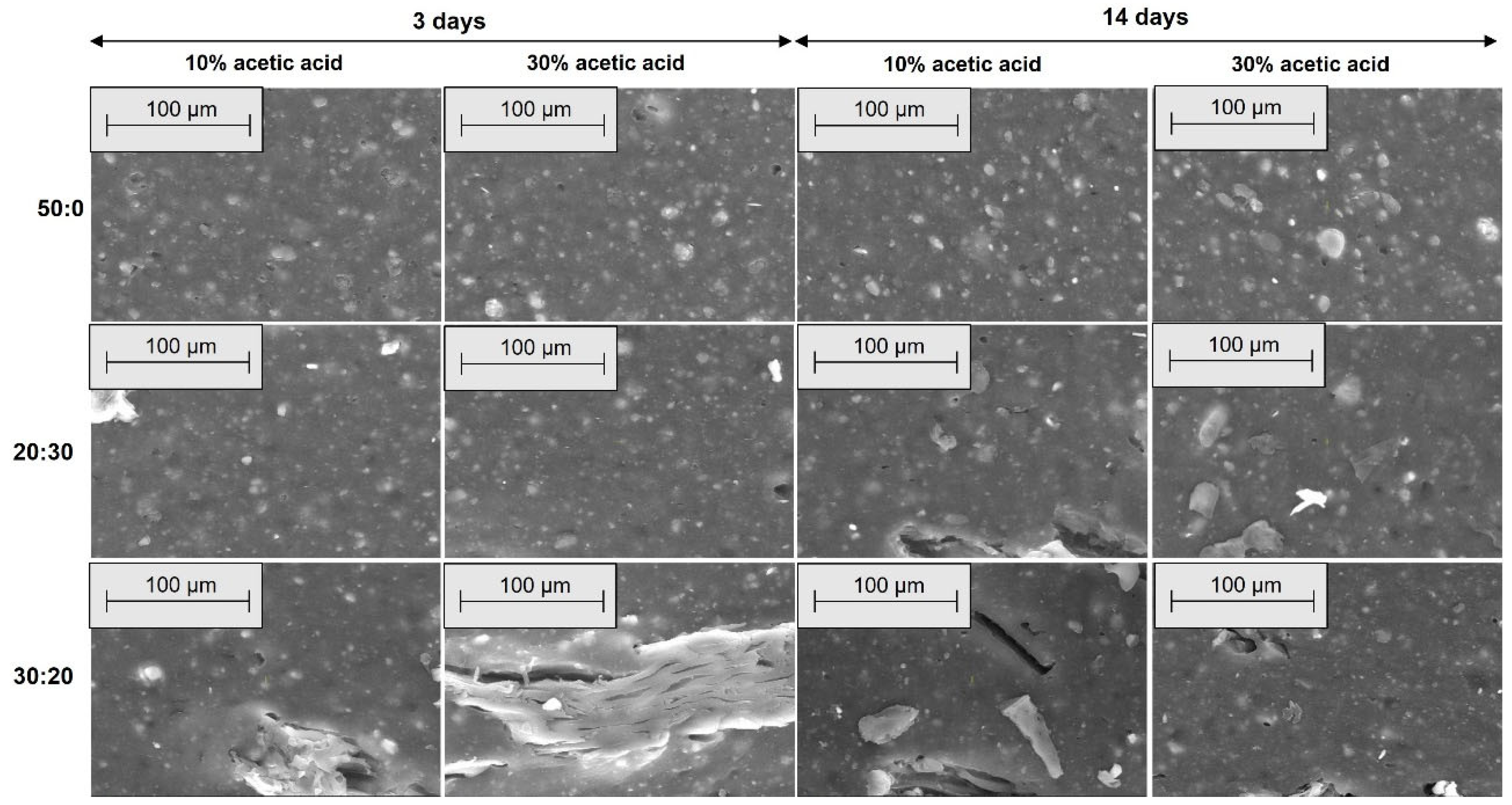 Materials 18 04557 g013