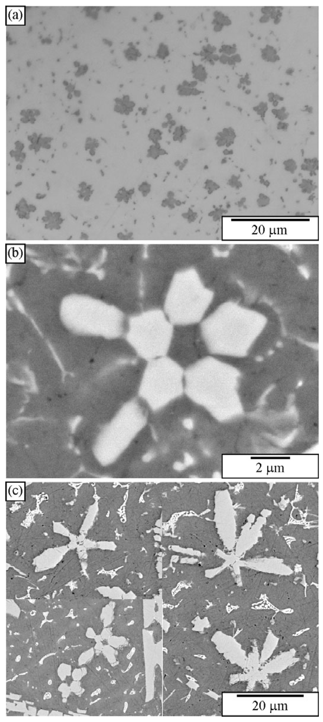 Materials 18 04575 g014