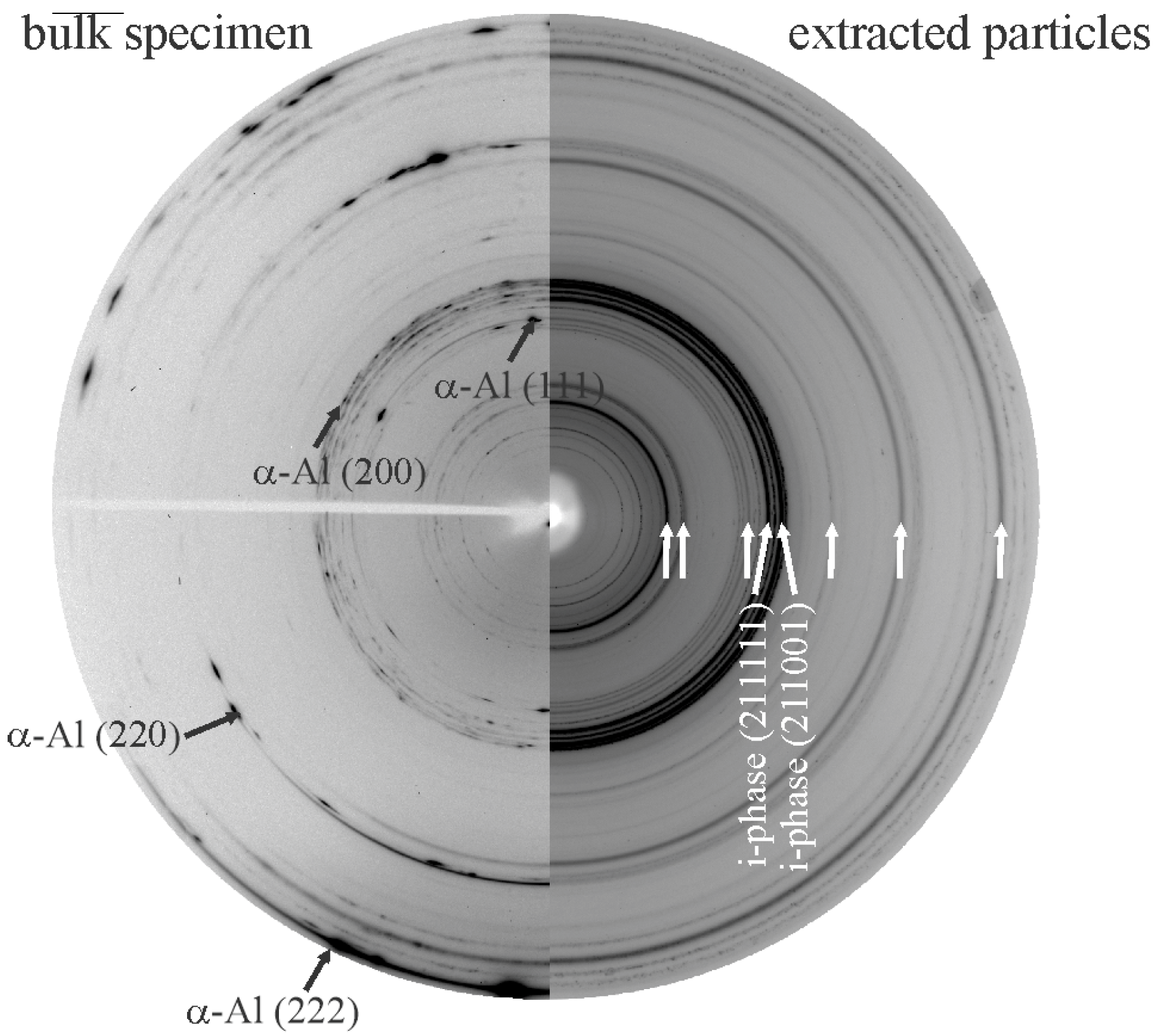 Materials 18 04575 g022