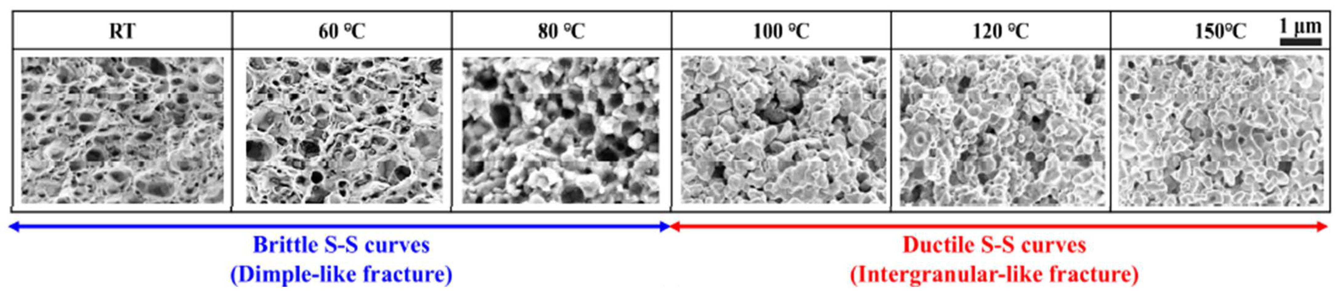 Materials 18 04595 g010