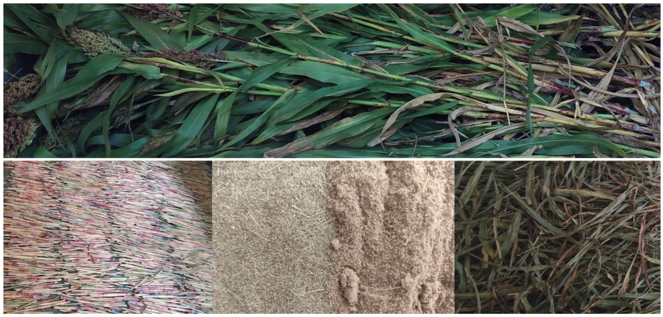 Materials 18 04634 g001