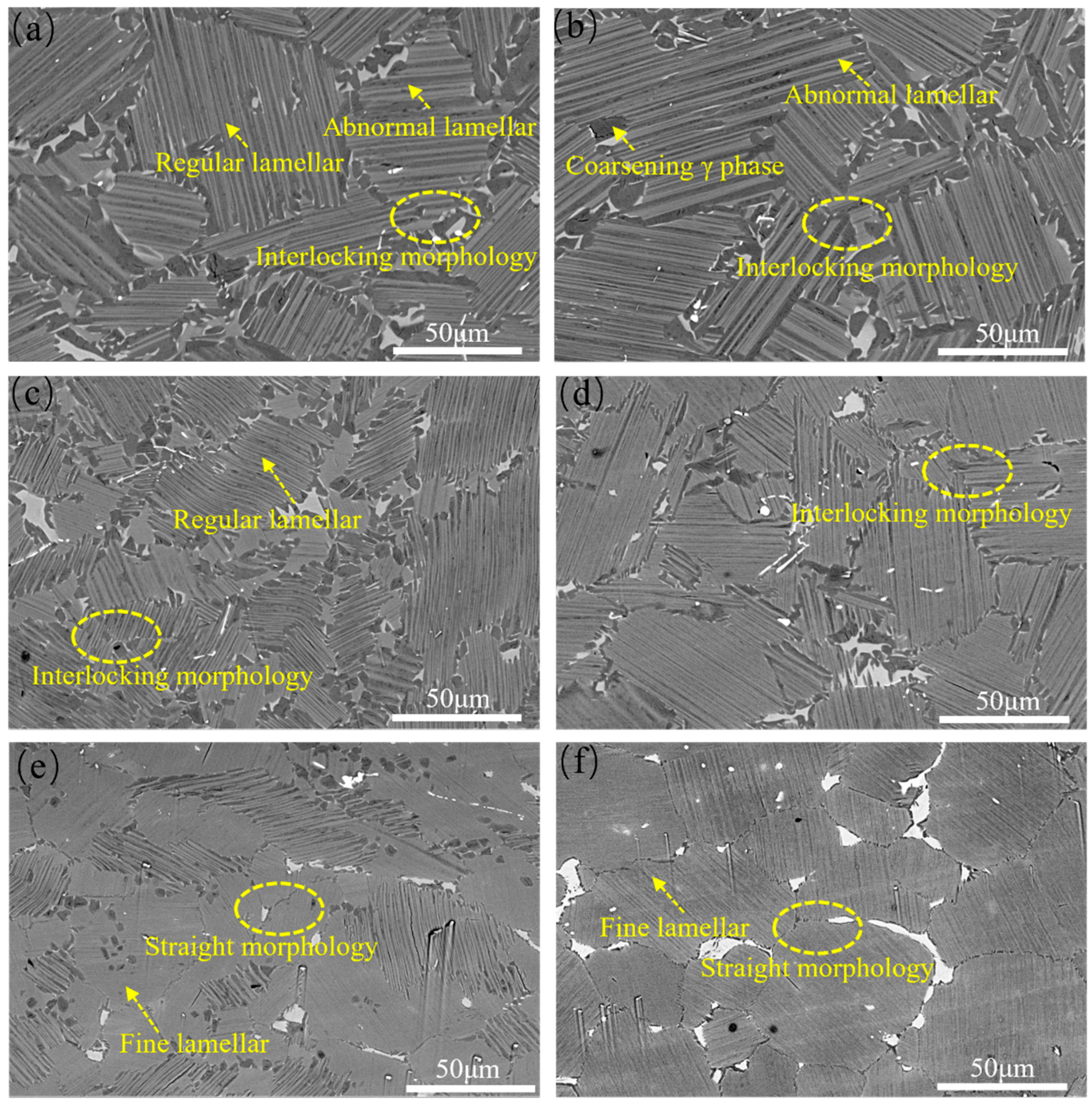 Materials 18 04641 g005 Materials 18 04641 g005