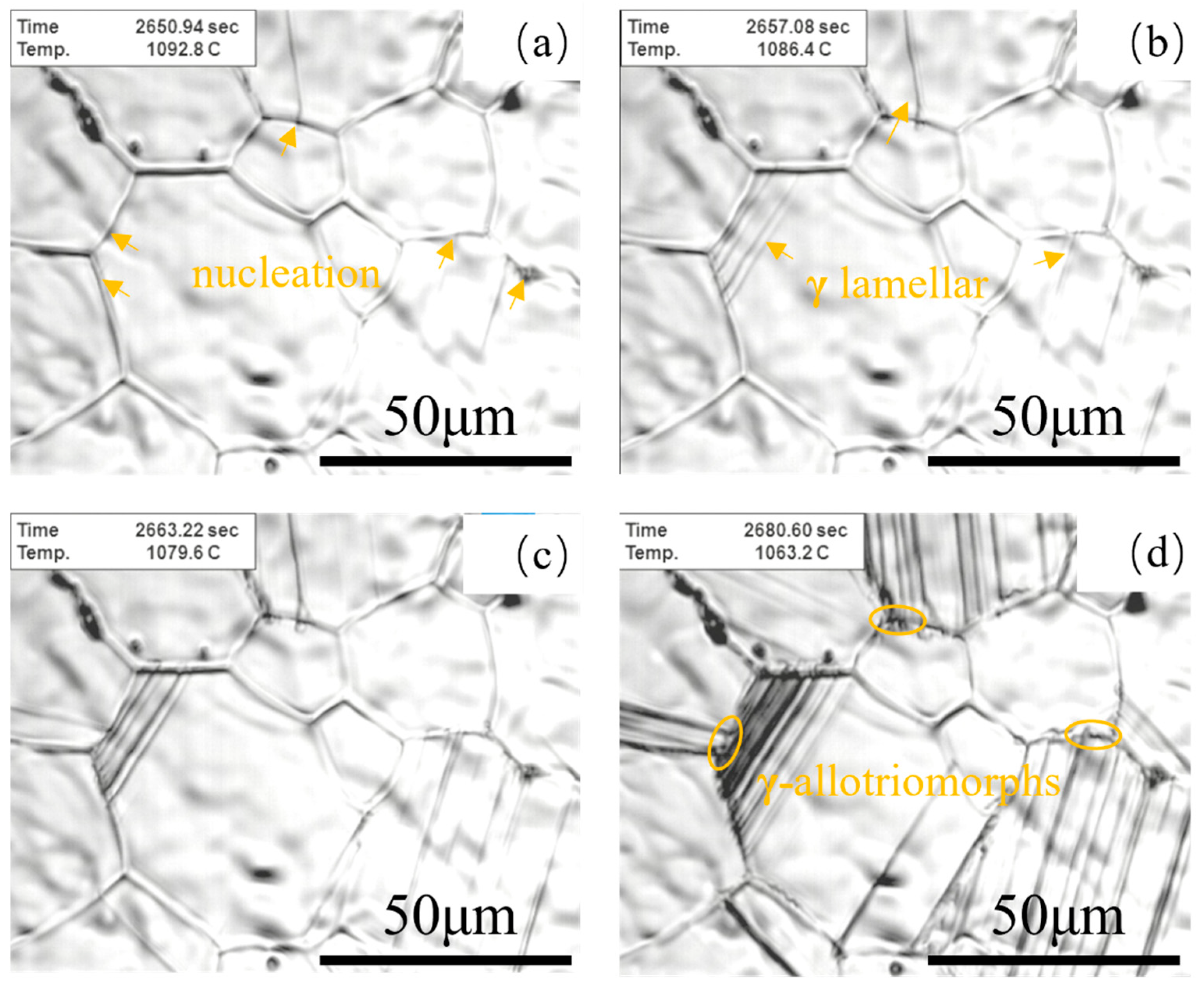 Materials 18 04641 g006 Materials 18 04641 g006