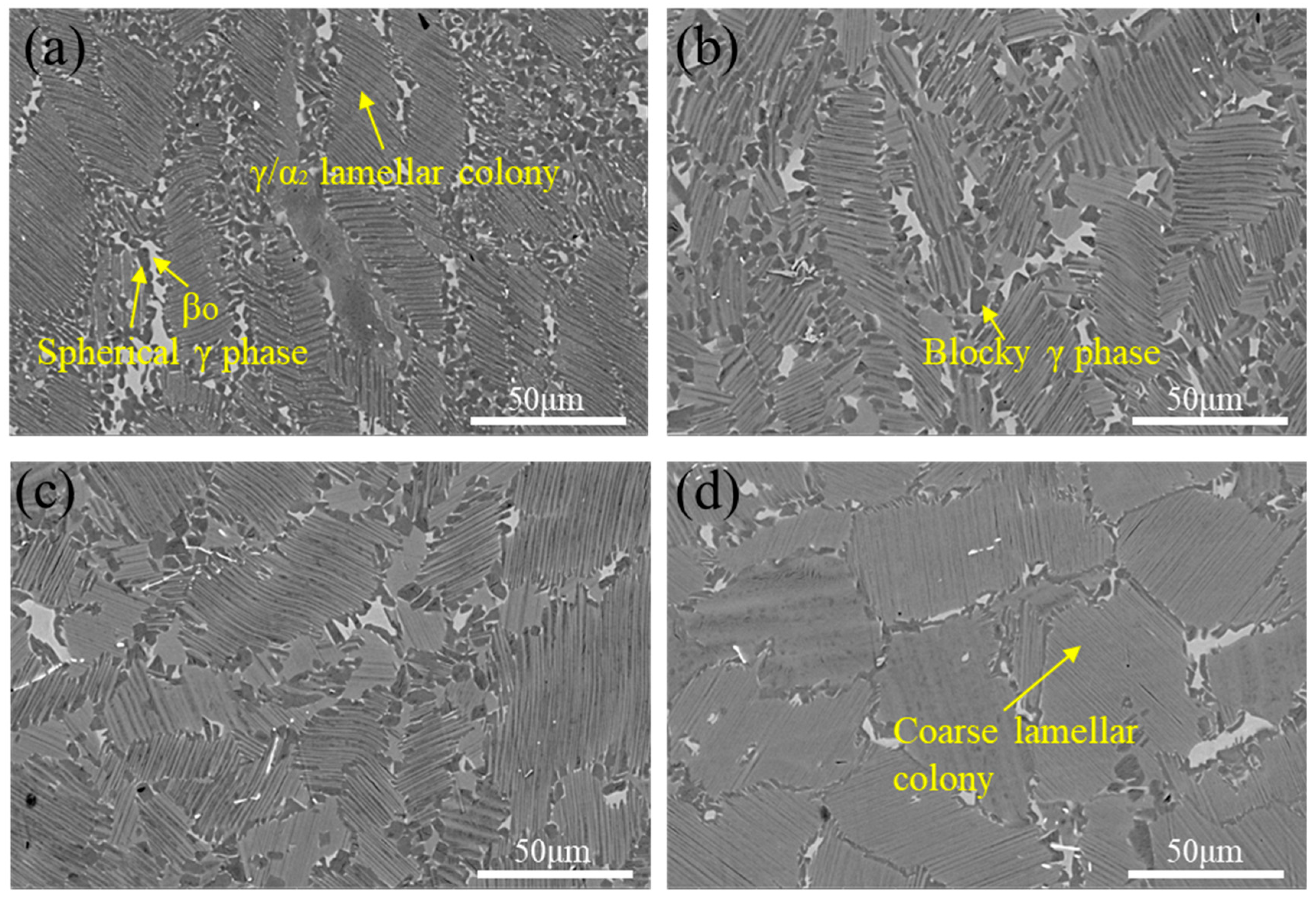 Materials 18 04641 g007 Materials 18 04641 g007