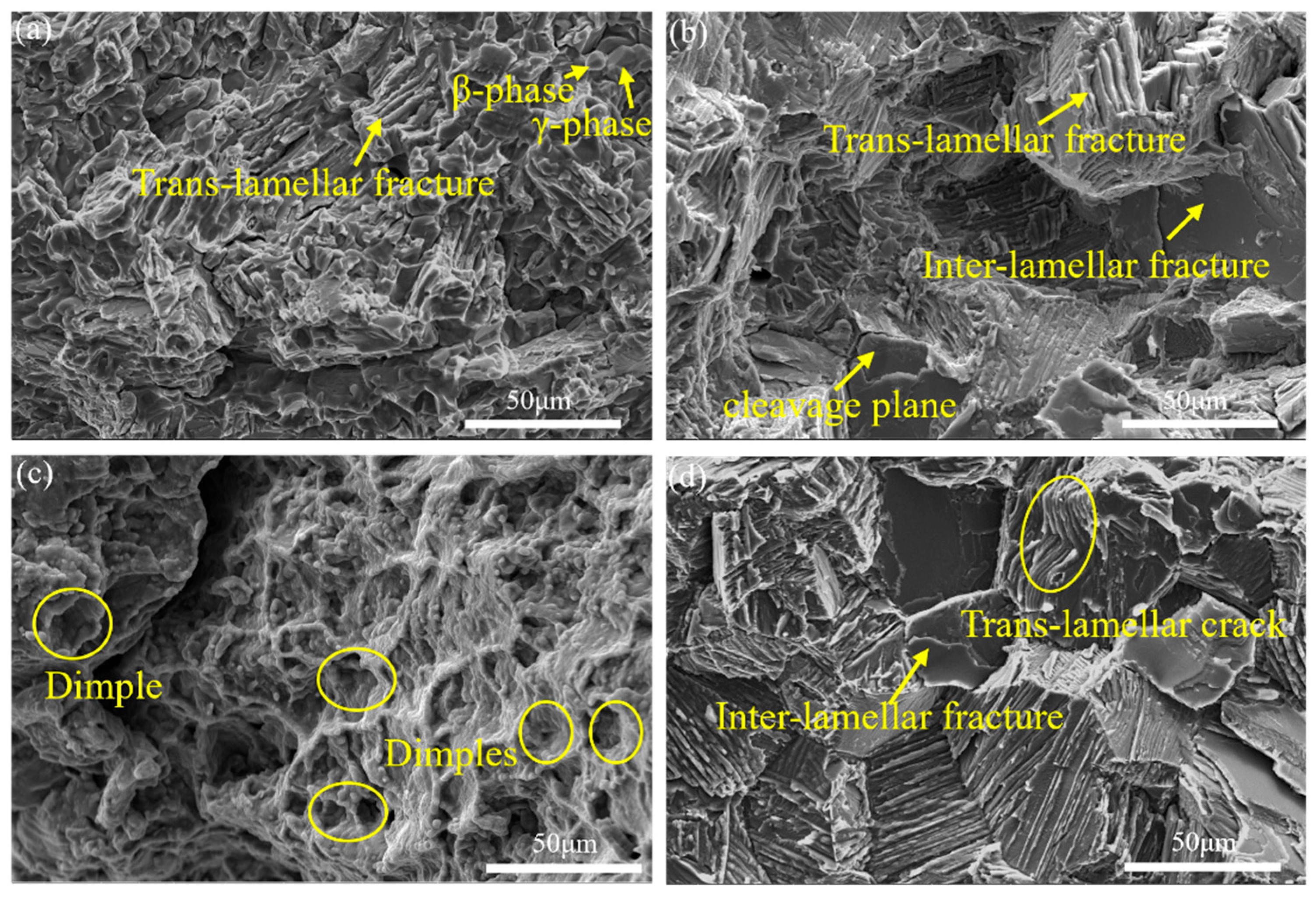 Materials 18 04641 g009 Materials 18 04641 g009