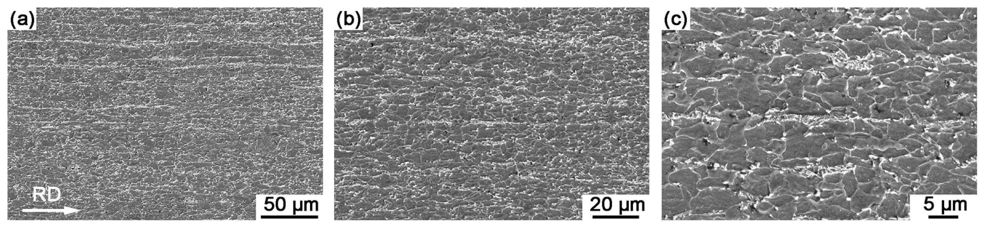 Materials 18 04660 g005