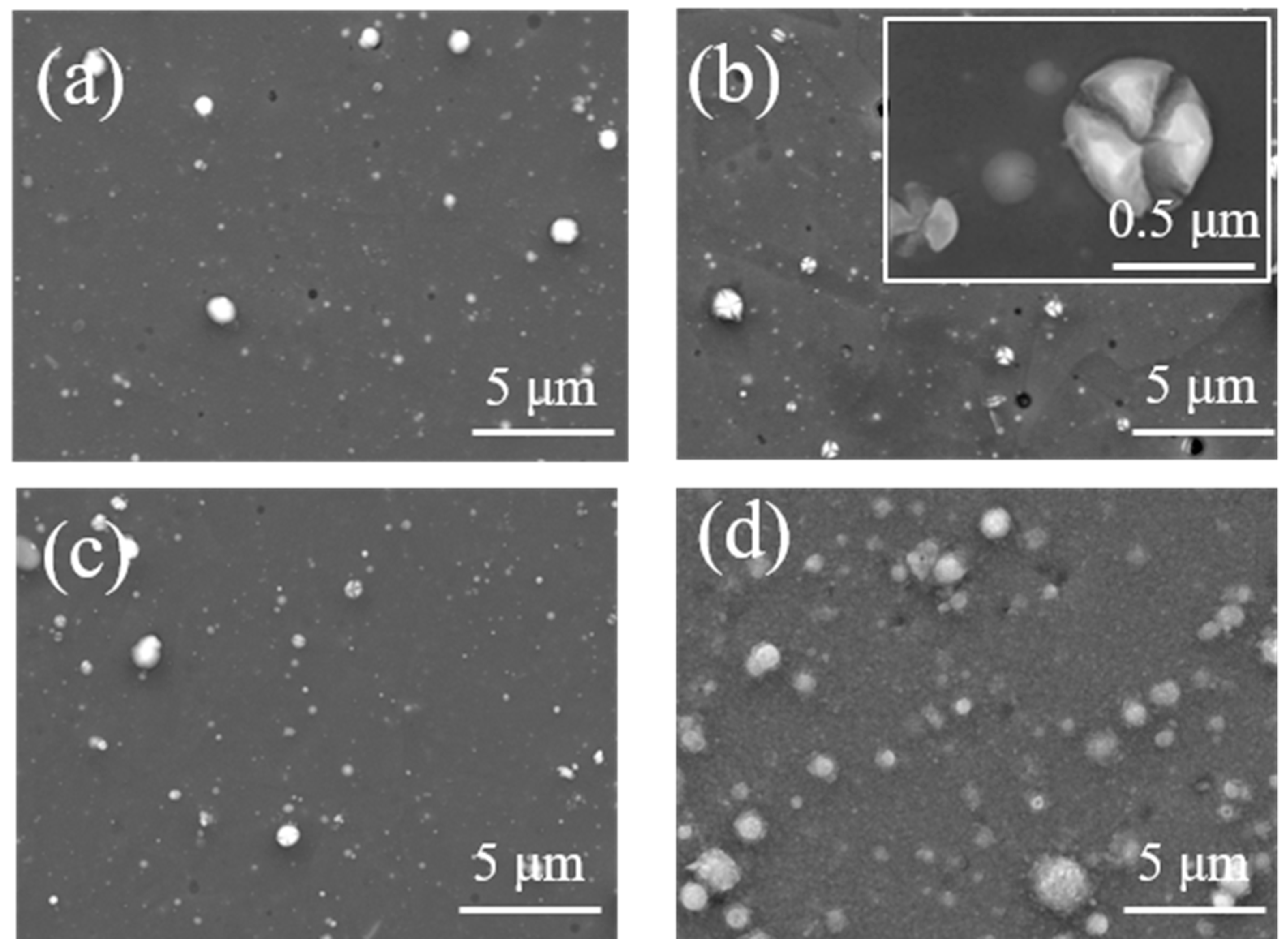 Materials 18 04663 g006