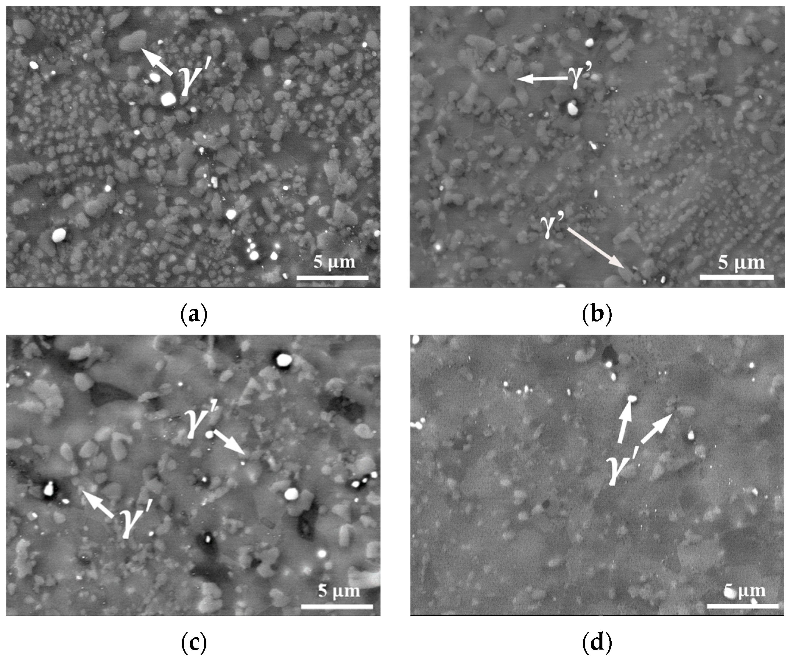 Materials 18 04680 g007