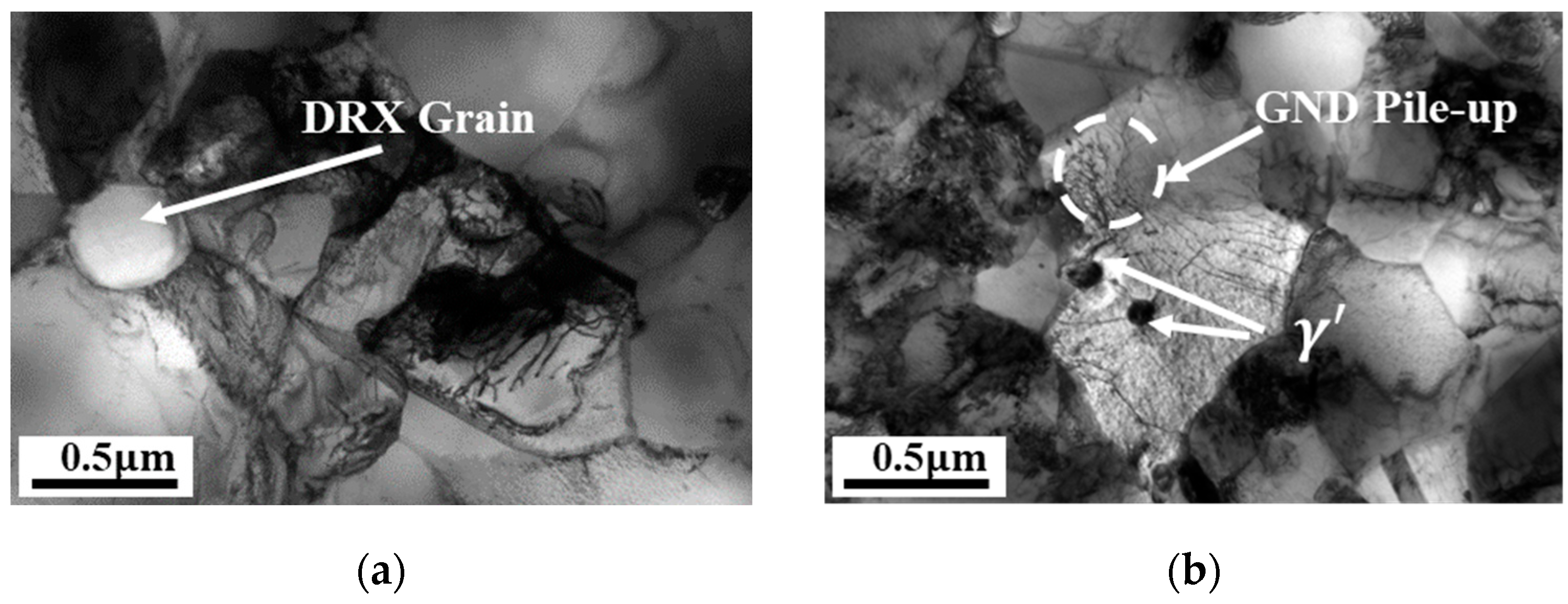 Materials 18 04680 g008