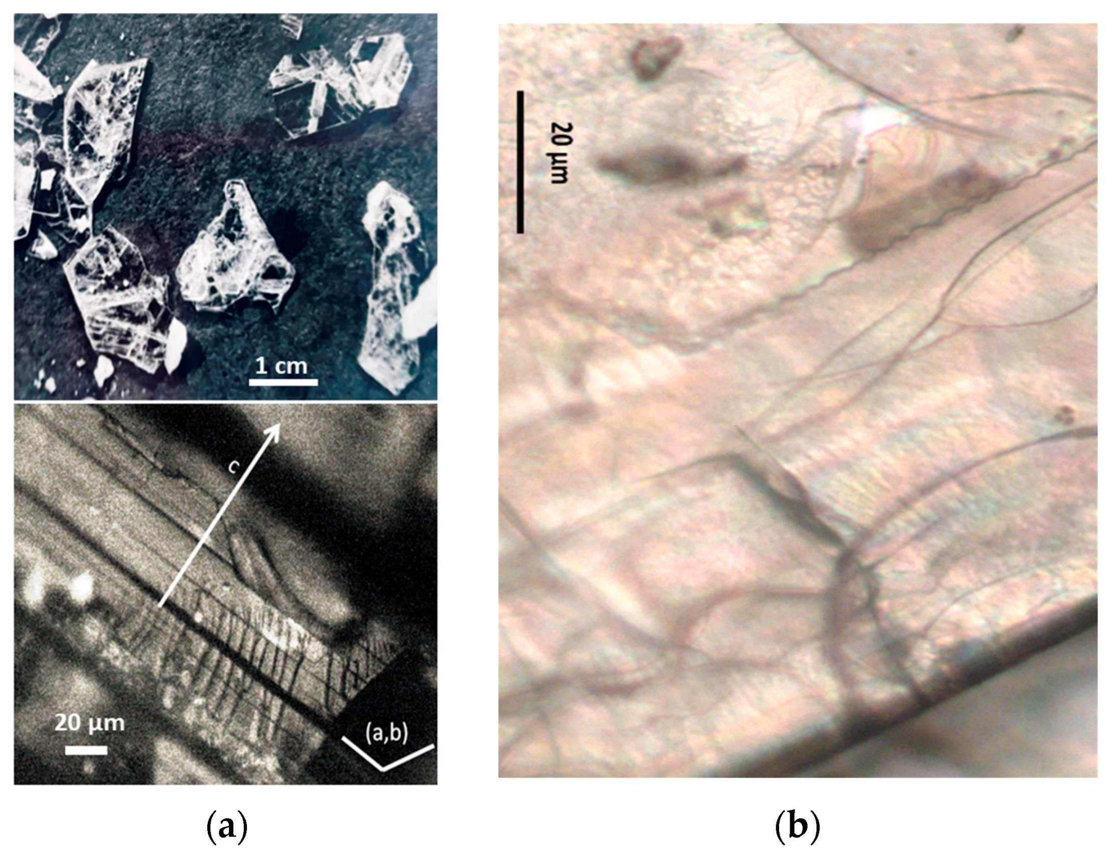 Materials 18 04682 g001 Materials 18 04682 g001