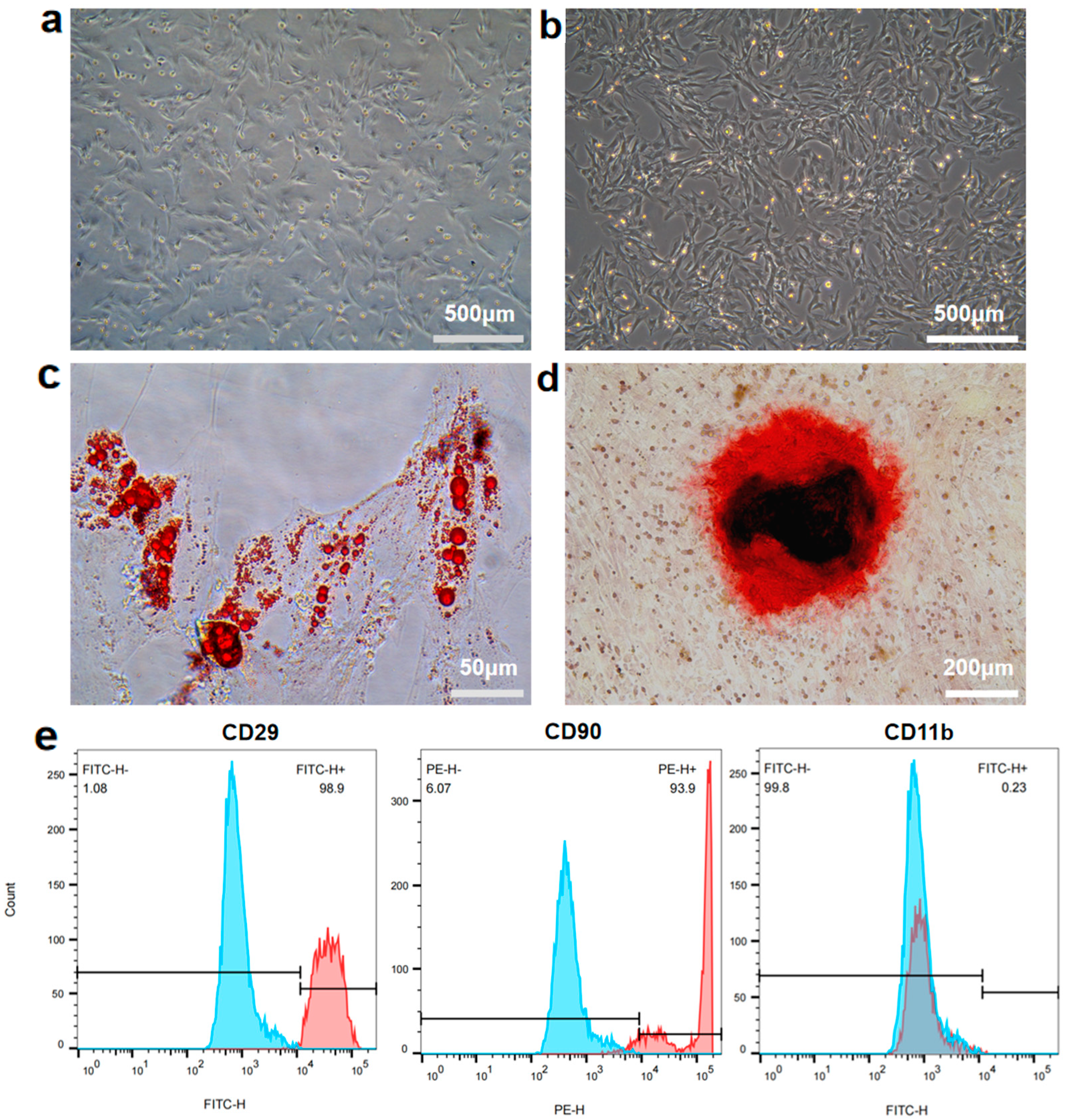 Materials 18 04687 g001