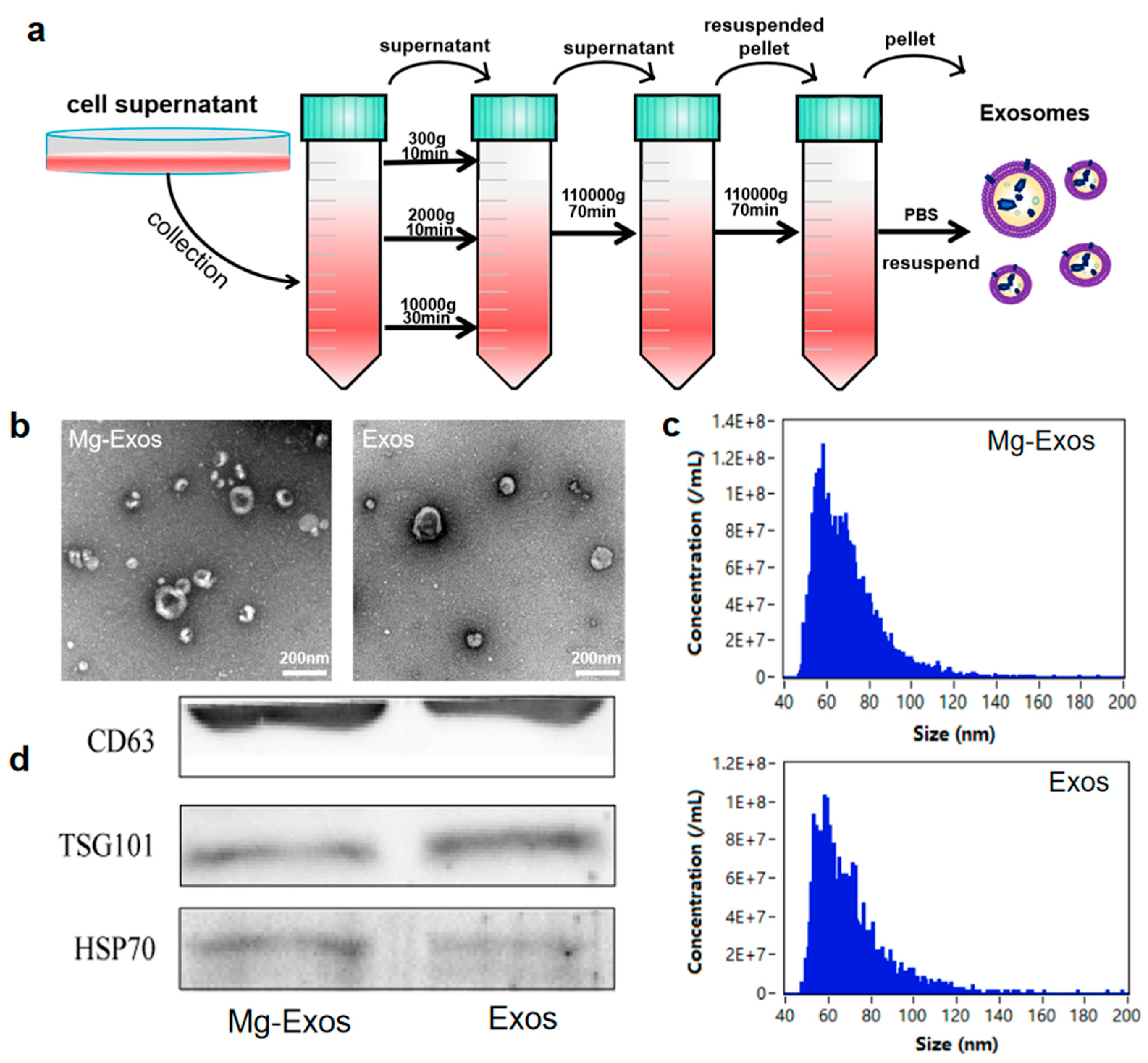 Materials 18 04687 g002