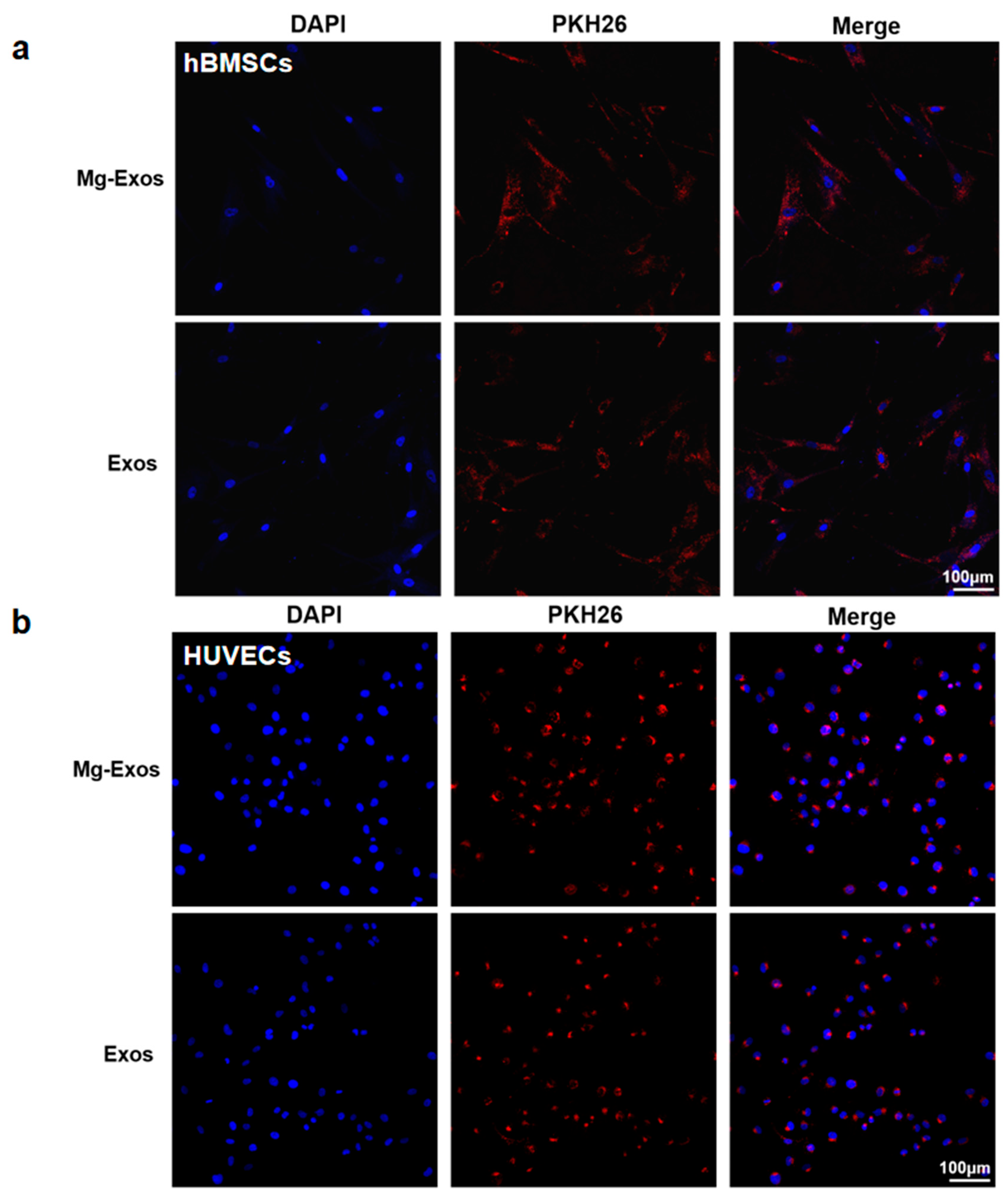 Materials 18 04687 g003